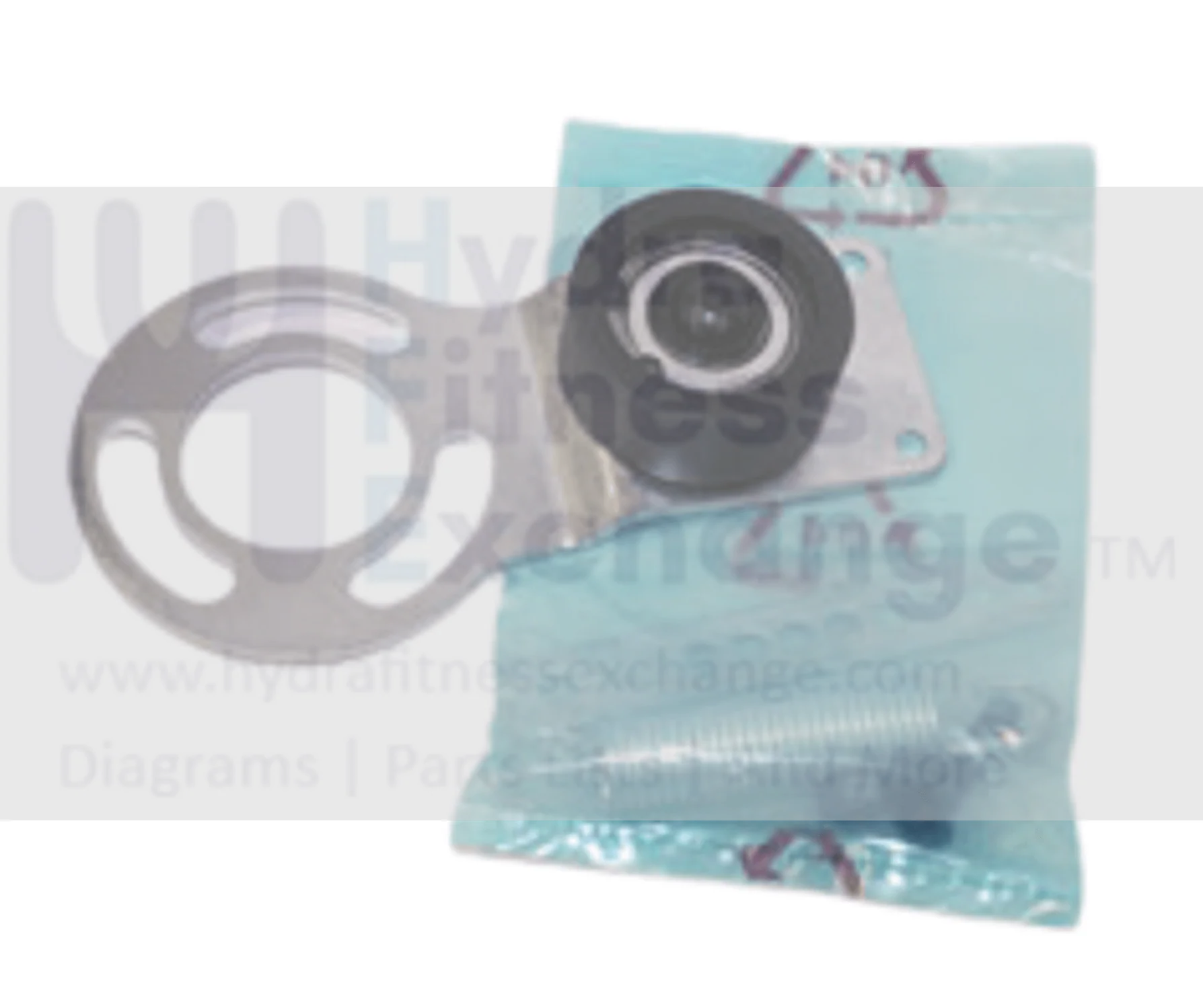 Horizon Fitness Stationary Bike Belt Idler Pulley Tensioner Assembly 012674-00