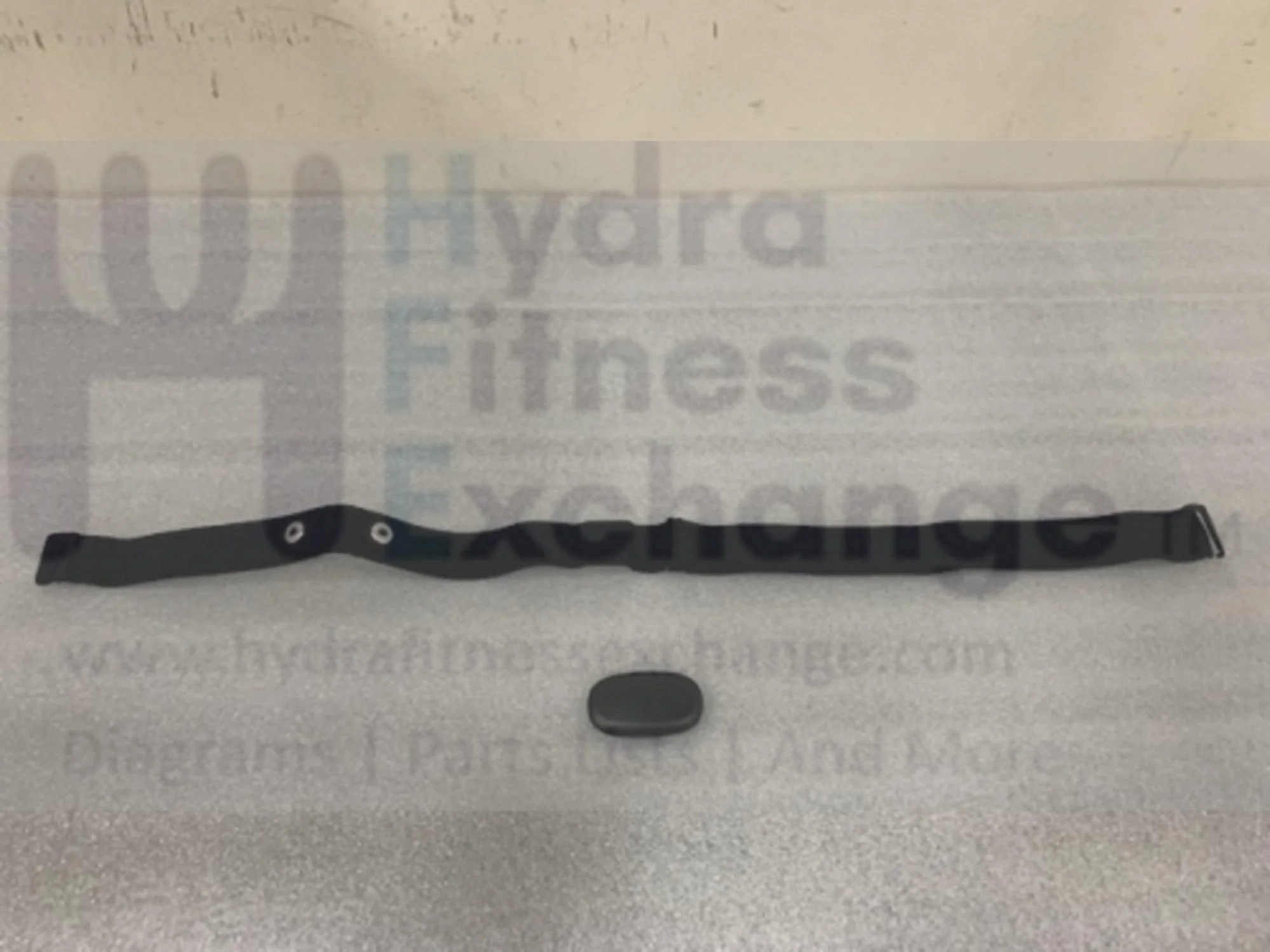 Horizon Fitness Stationary Bike Chest Strap with Elastic 1000376389