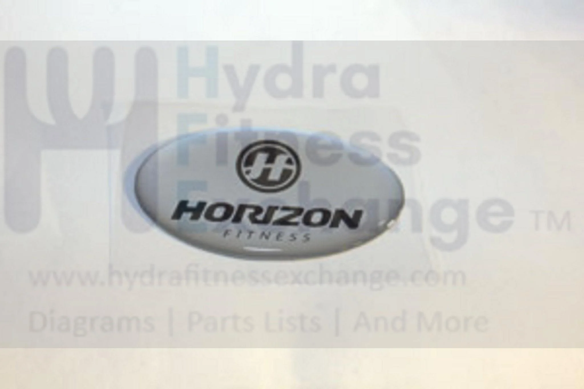 Horizon Fitness T100 T90 Treadmill Console Curst Middle Sticker 1000093349