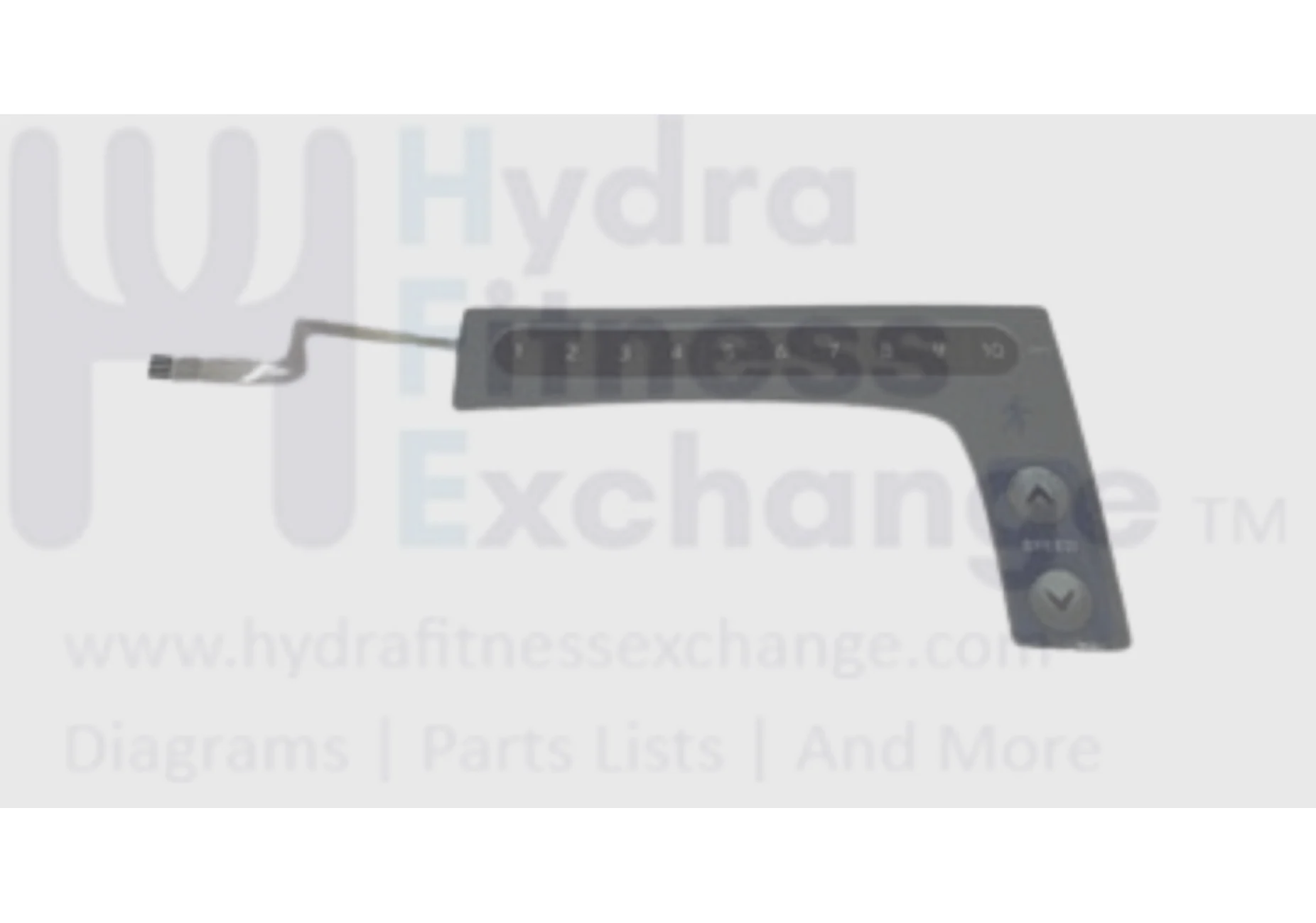 Horizon Fitness T101-03 Treadmill Right English Overlay 1000212428