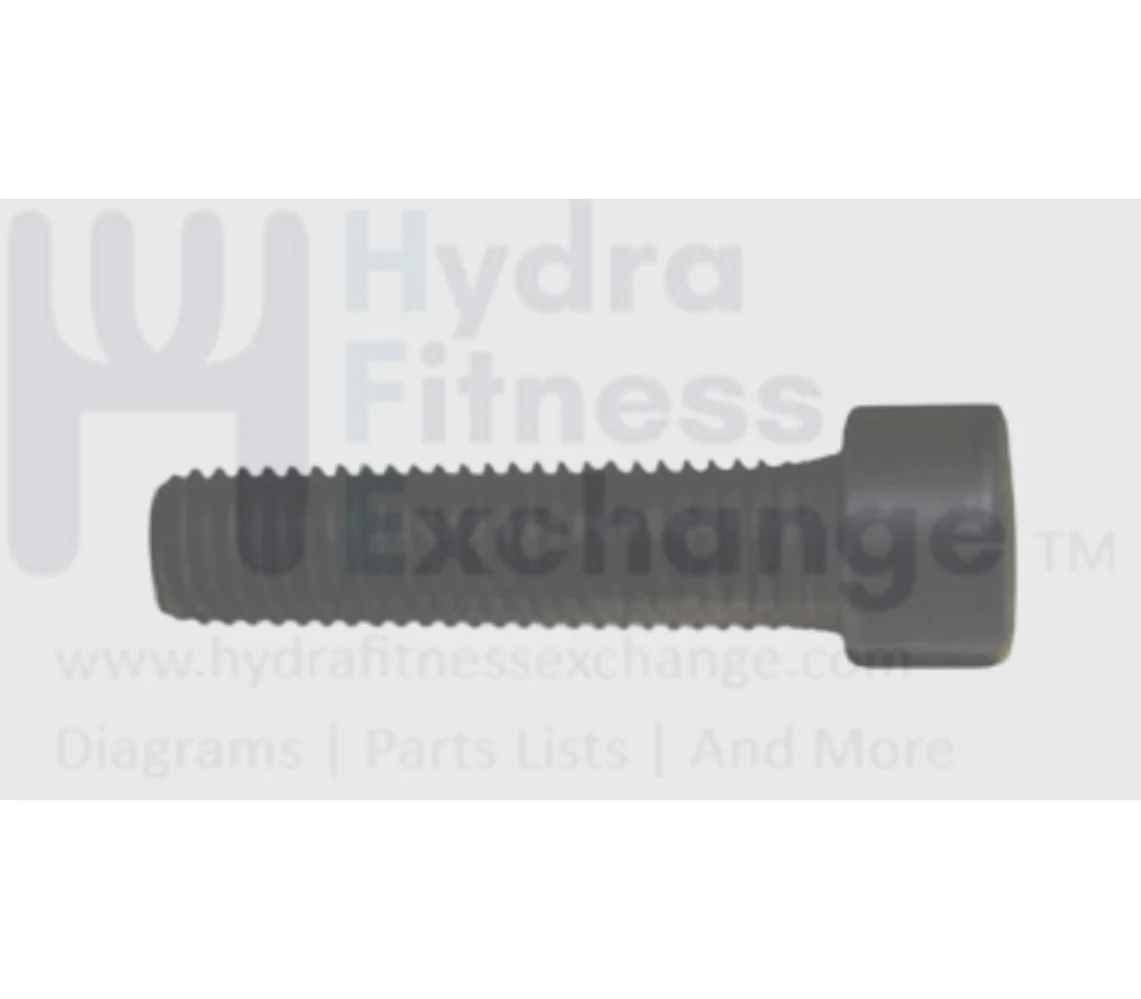 Horizon Fitness TM734 TM486 Treadmill Round Head Hex Socket Screw 005165-AD