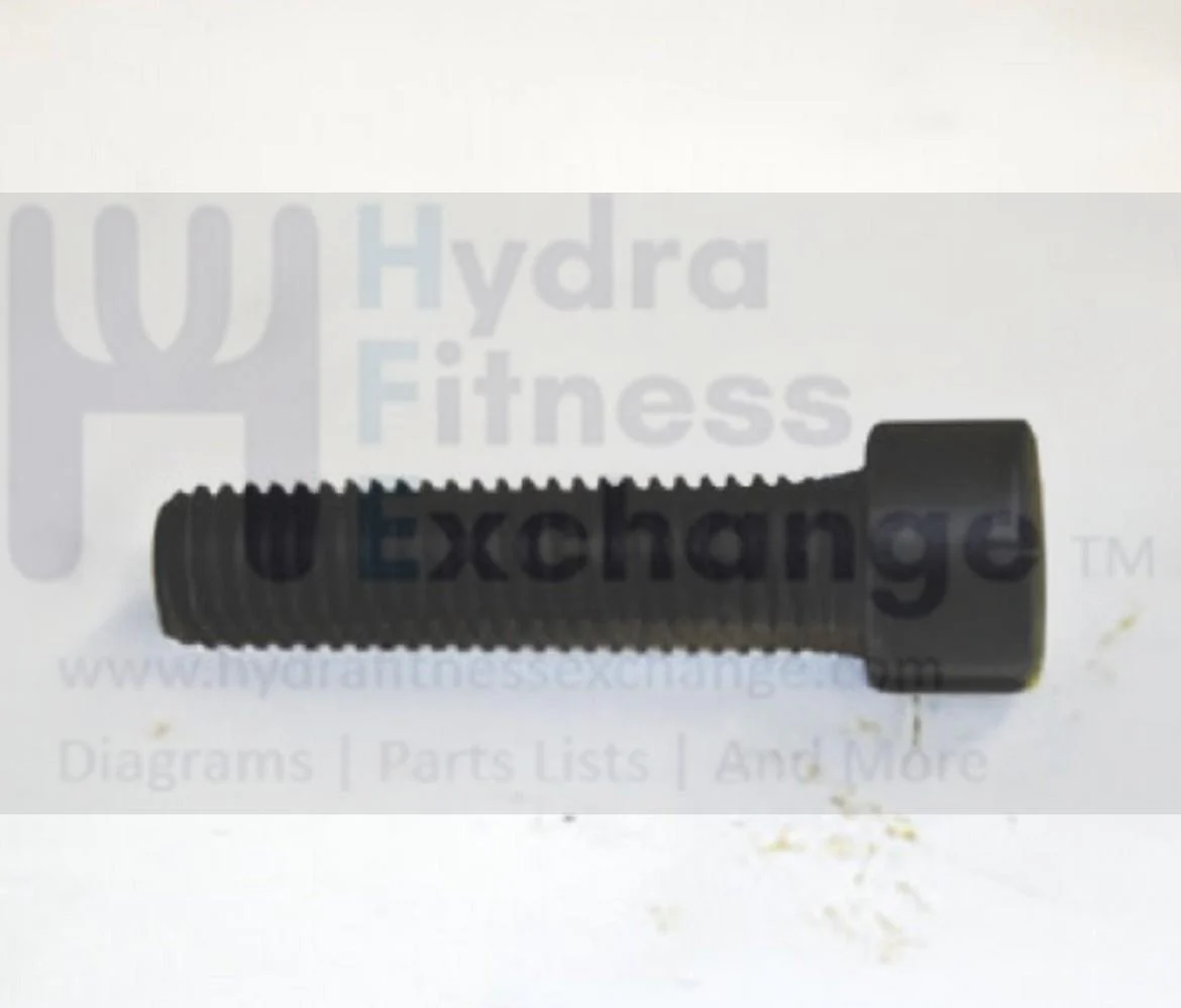 Horizon Fitness TM734 TM486 Treadmill Round Head Hex Socket Screw 005165-AD - Image 2