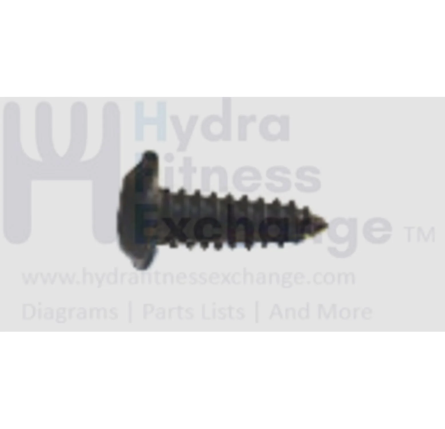 Horizon Fitness TM605 TM659B TM658F TM486 TM734 Treadmill Button Head Tapped Phillip Screw 4 x 16L 020345-00 - Image 2