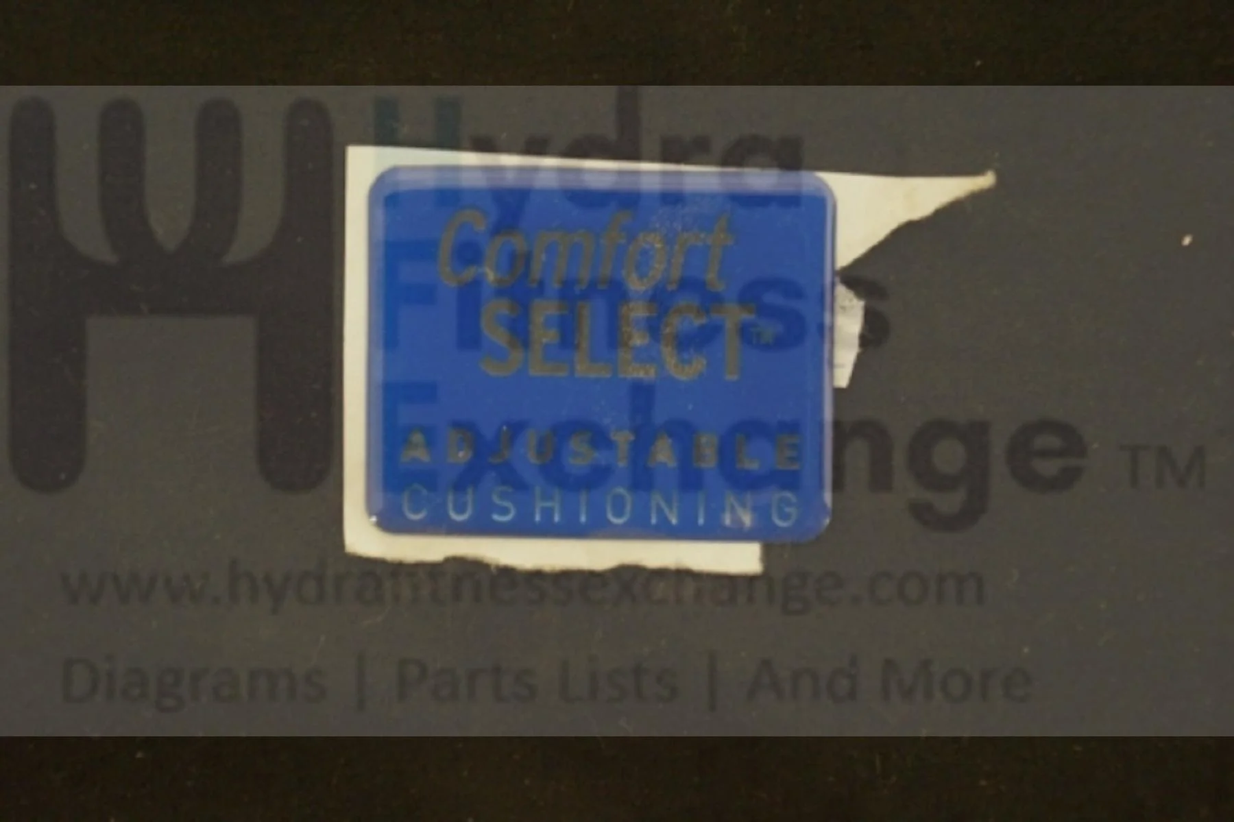 Horizon Fitness T103 Treadmill Poly Side Rail Cover Decal 1000105096 - Image 2