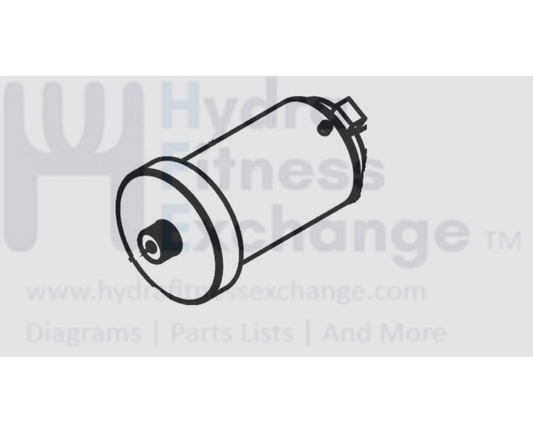 Horizon Fitness T202-06-TM1030 Treadmill DC Drive Motor with Flywheel 1000418971