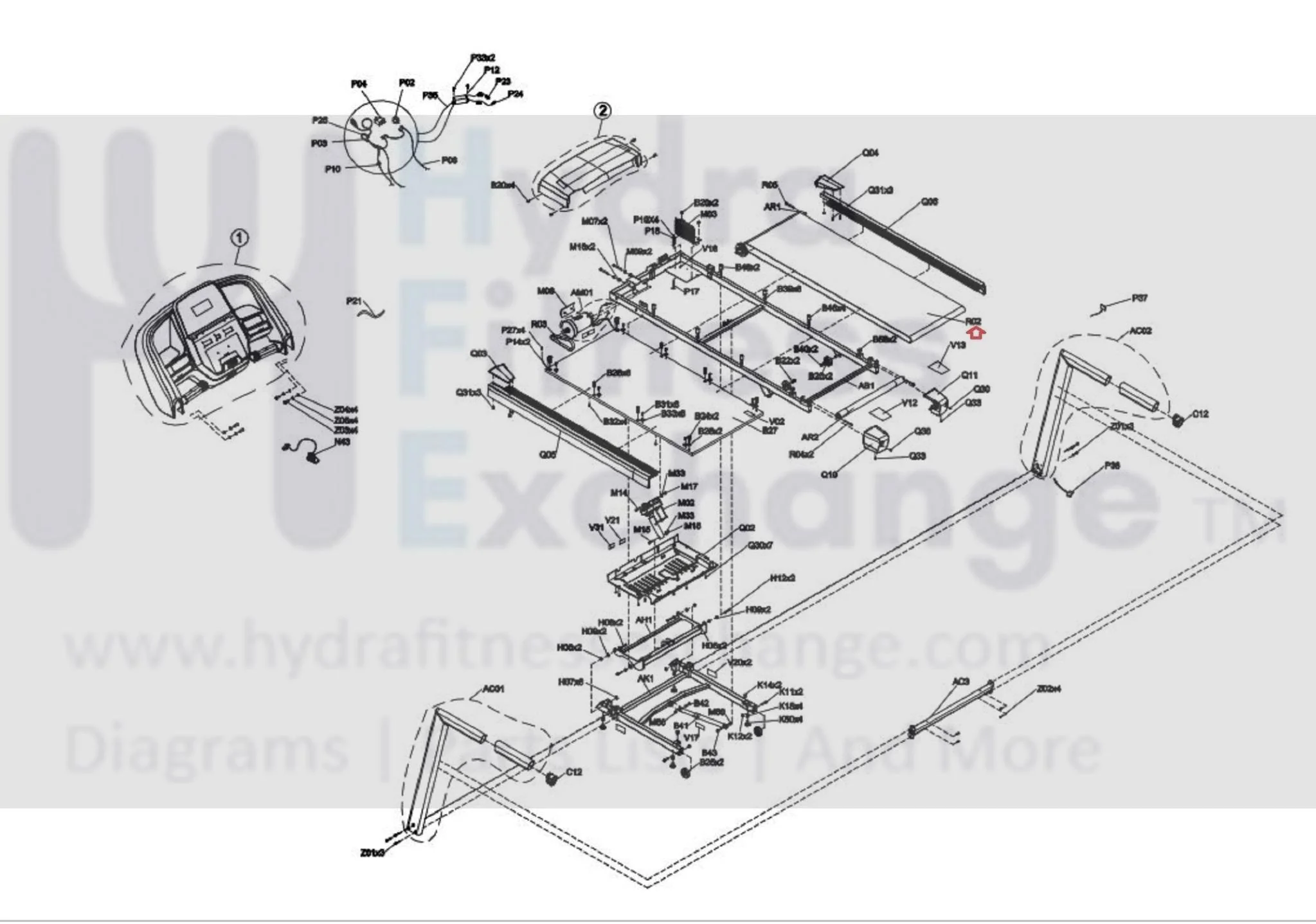 Horizon Fitness T202-06 Treadmill OEM Walking Running Belt Treadbelt 1000355225 - Image 3