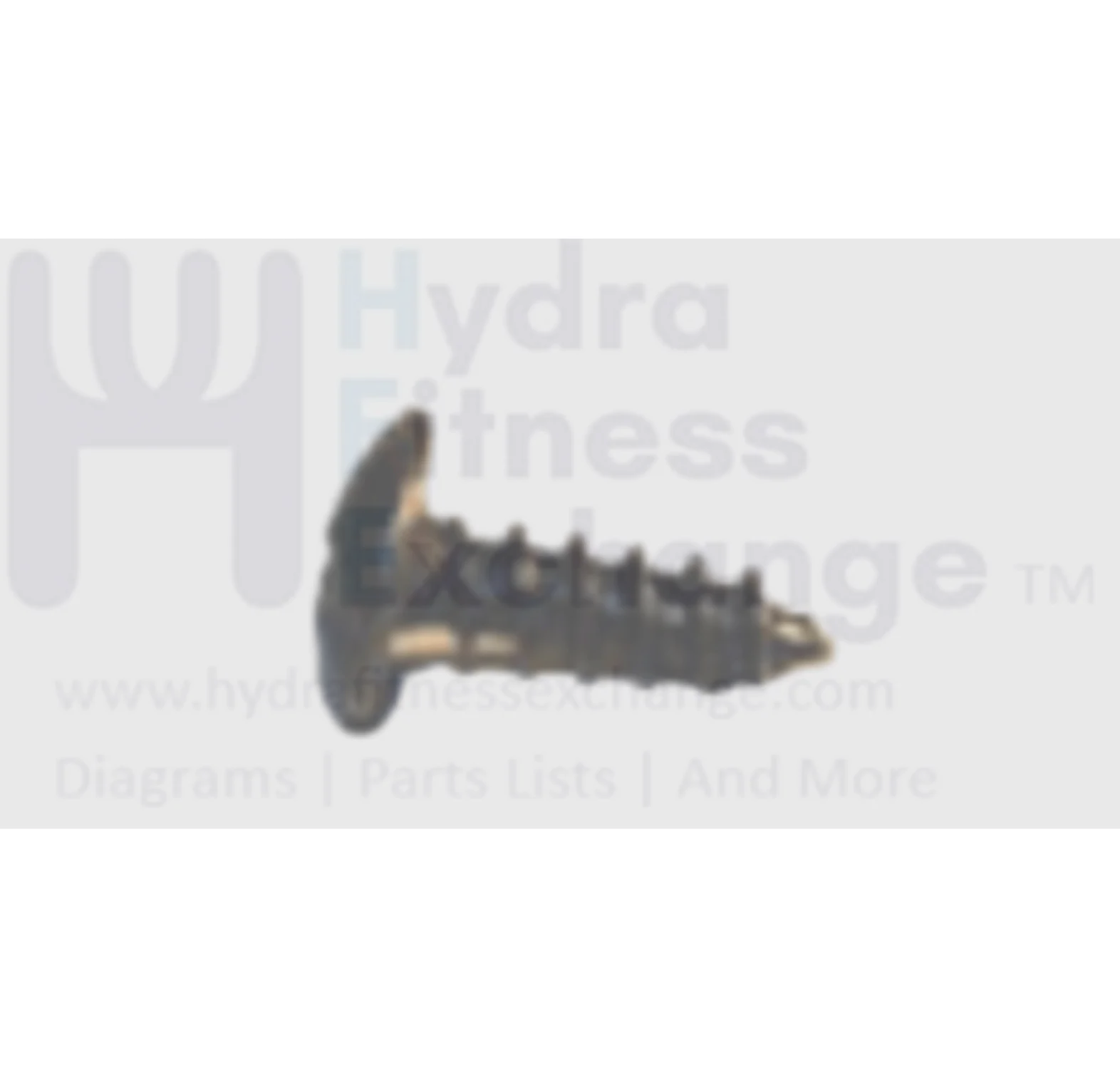 Horizon Fitness Livestrong Treadmill Umbrella Cross Tapped Screw 4x12L 004616-00