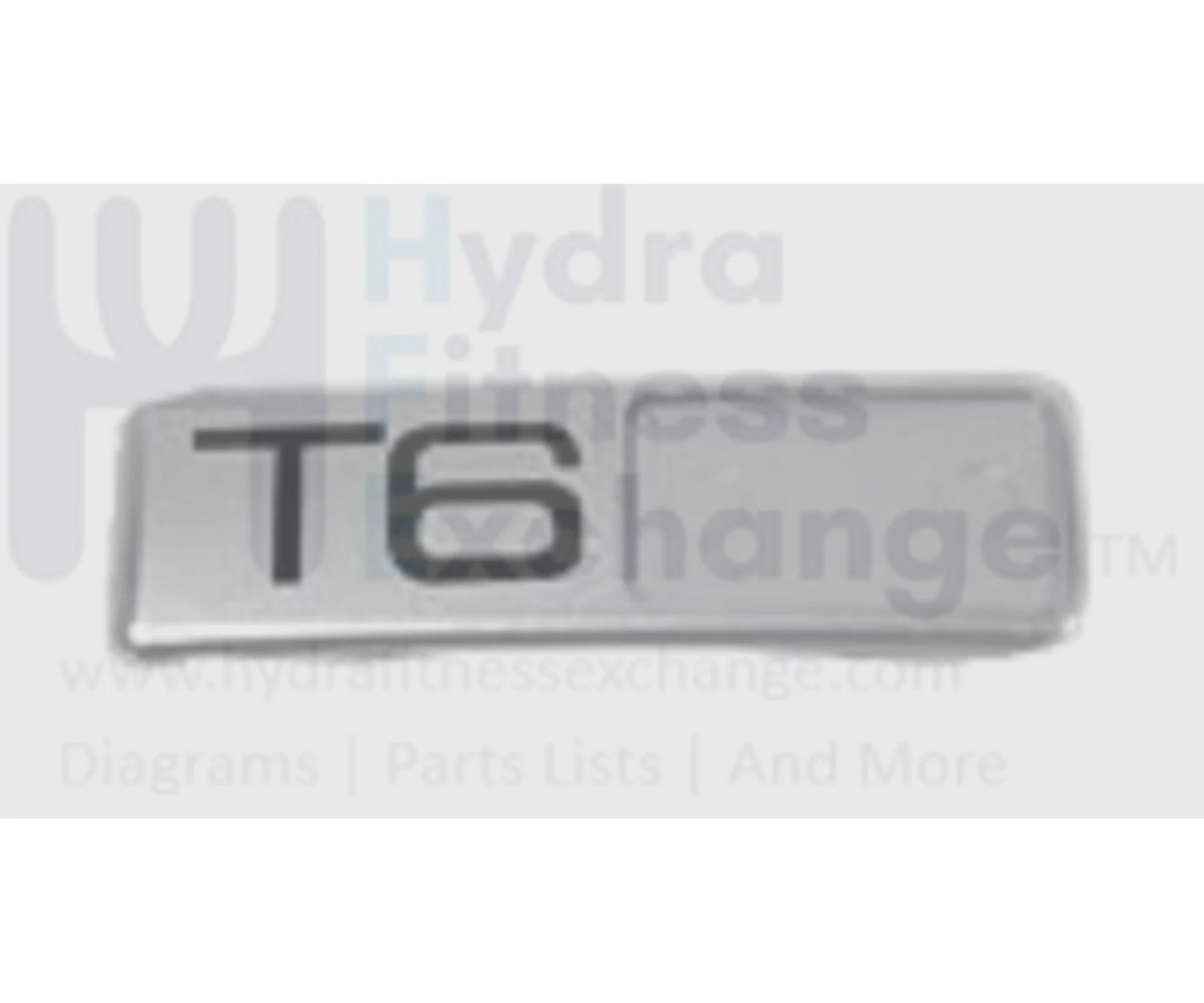 Horizon Fitness T6 - TM250 Treadmill Accent Plate 065856-AA