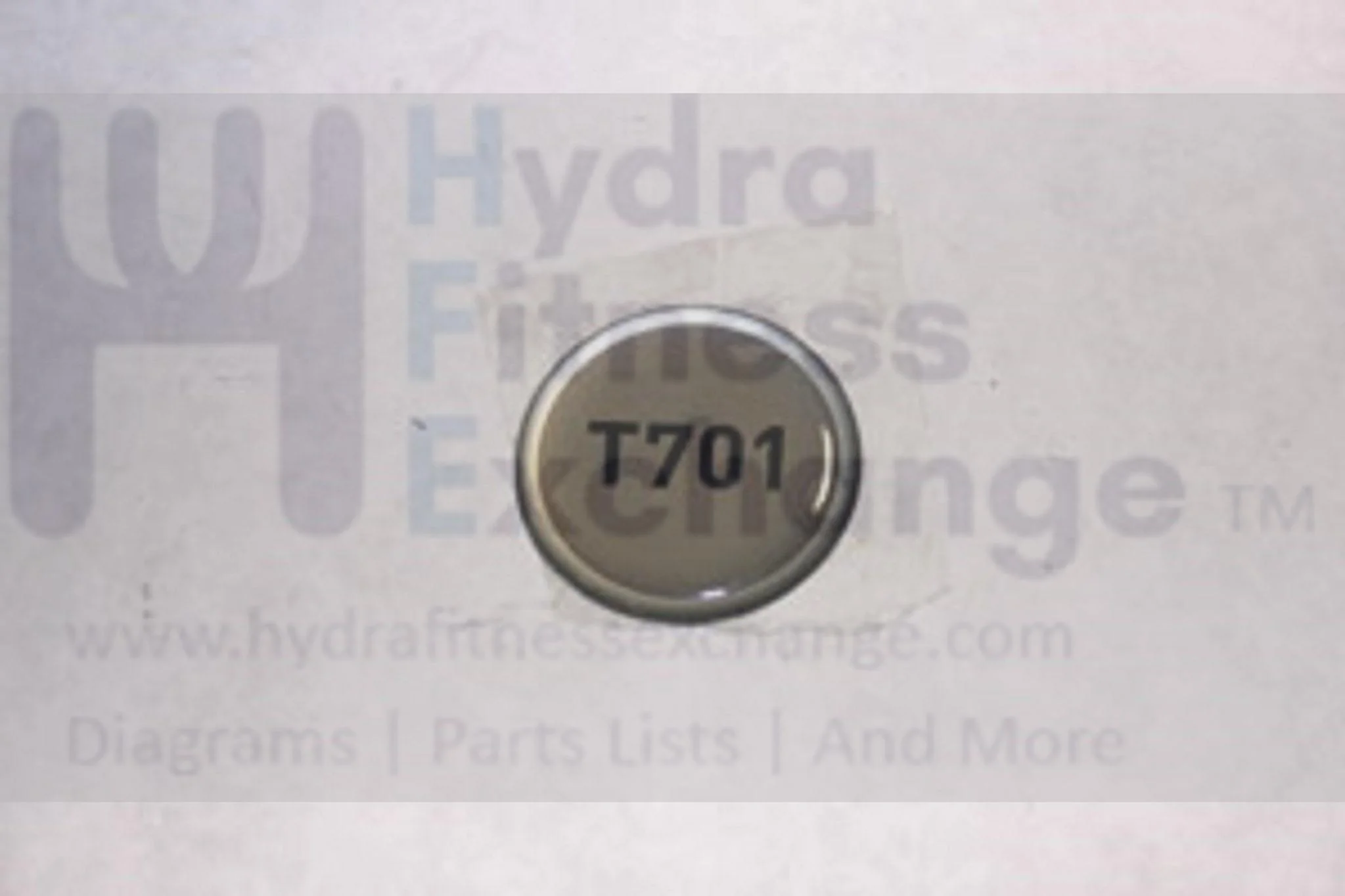 Horizon Fitness T701 Treadmill Poly Decal 1000095774 - Image 2