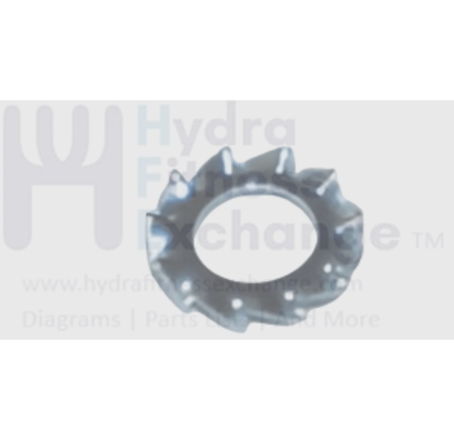 Horizon Fitness Treadmill Tooth Washer Diam.5.3 x Diam.10.0 x 0.6T 020491-00