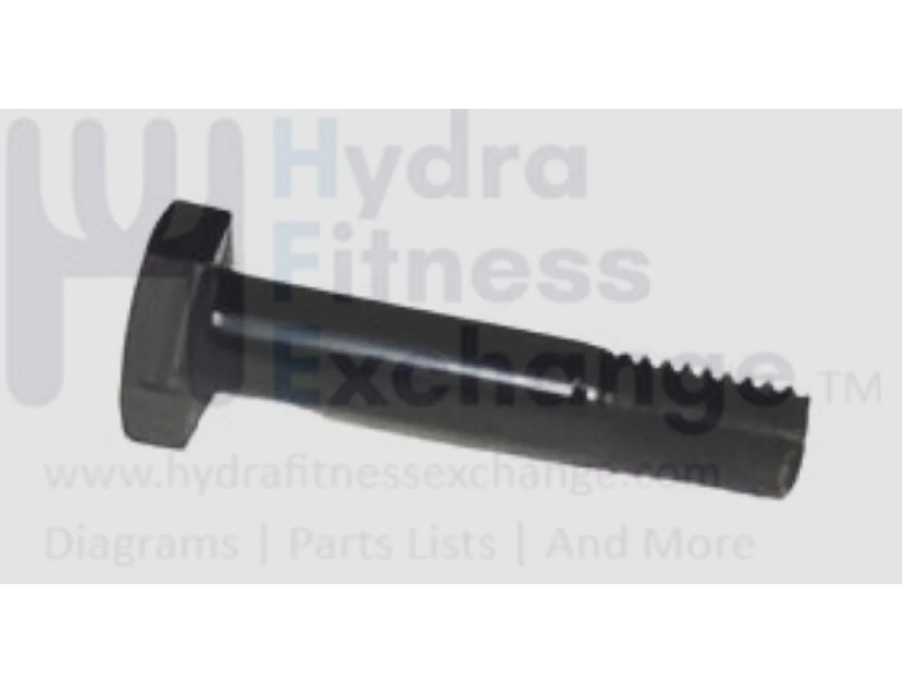 Horizon Fitness TM1021 PTM1021 PTM1021B TM499G PTM499G TM1000C PTM1000C Treadmill Hex Head Screw 3/8" - 16UNC x 50L 1000465333