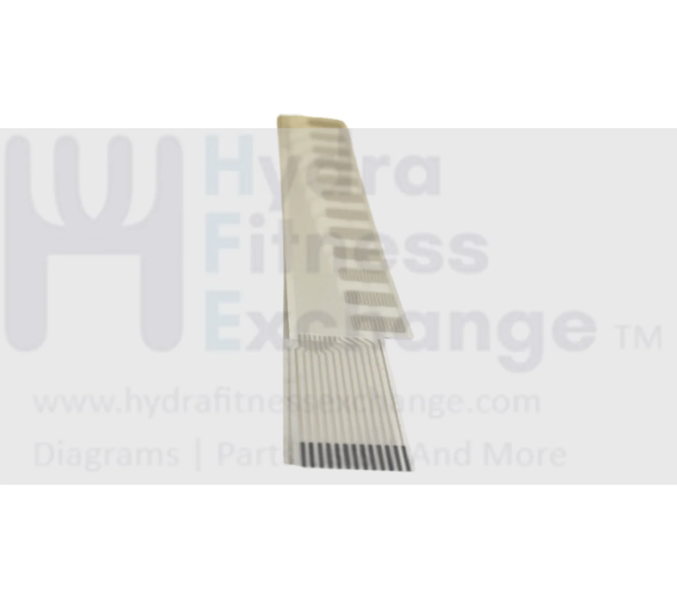 Horizon Fitness TM163 TM164 Treadmill Speed Membrane 12 Keys 019685-B