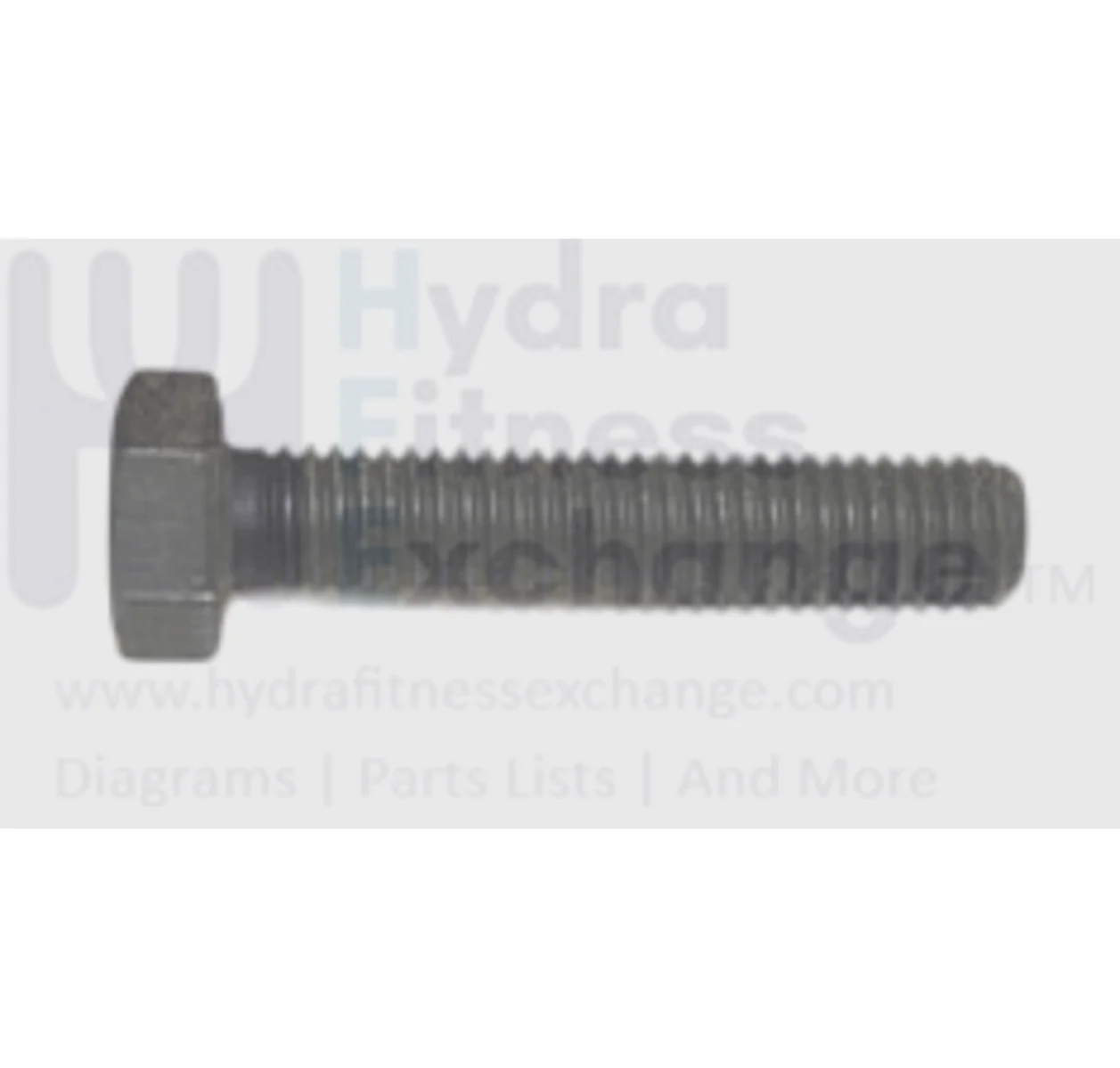 Horizon Fitness TM252 Treadmill Screw M8 X 1.25P X 40L 020147-00