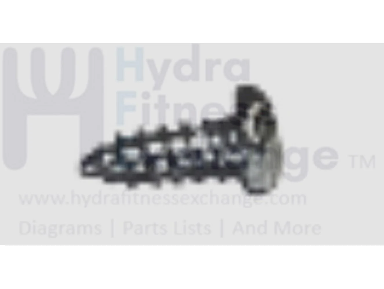 Horizon Fitness TM298B TM299 Treadmill Screw 3 x 8L 039664-00
