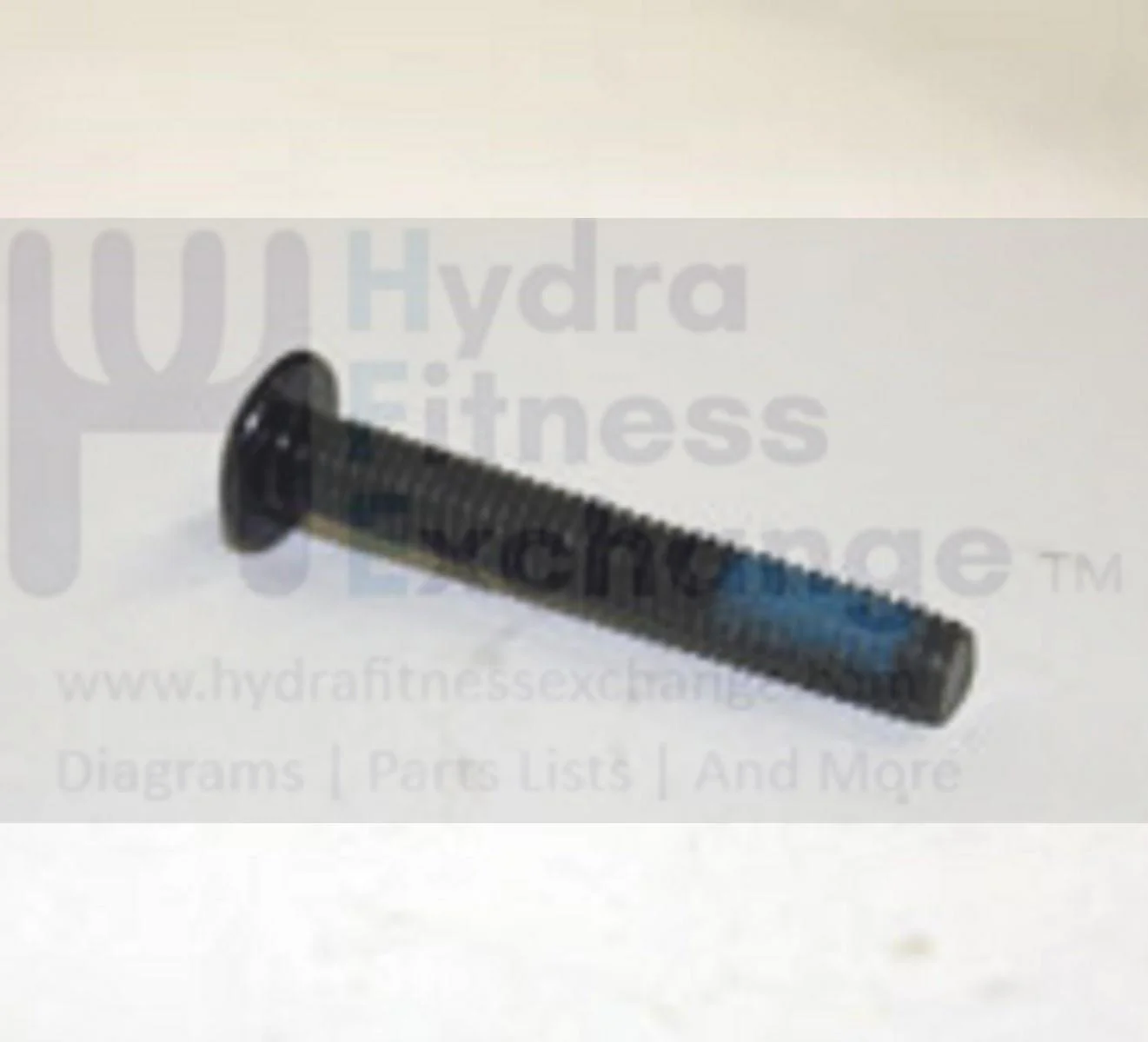 Horizon Fitness TM318 TM308 Treadmill Bolt M6 - 1.0P x 40L 076802 - Image 2