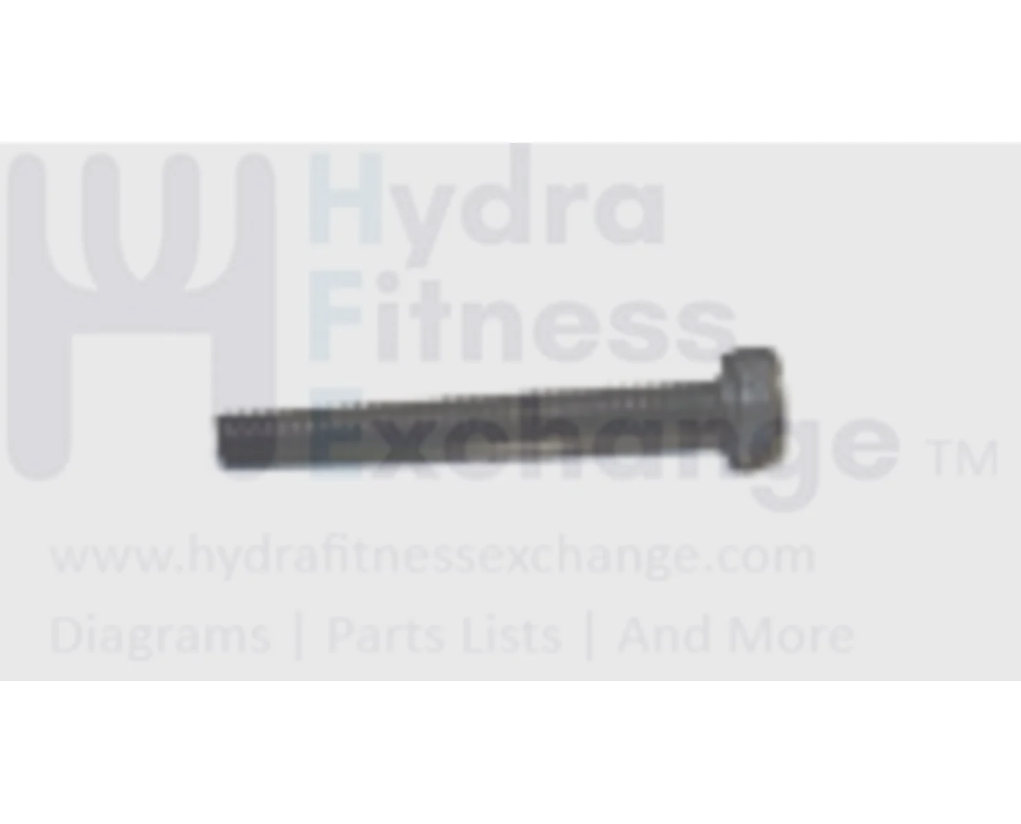 Horizon Fitness TM372 TM372D TM372C TM372B TM371 TM371D TM371C TM371B Treadmill Phillip Round Screw M2 - 0.4P x 12.0L 099614