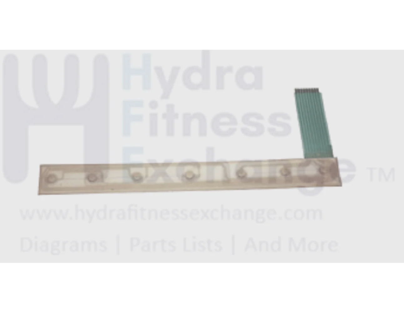 Horizon Fitness TM373 TM67C TM27B TM363 Treadmill Membrane Key 003109-00
