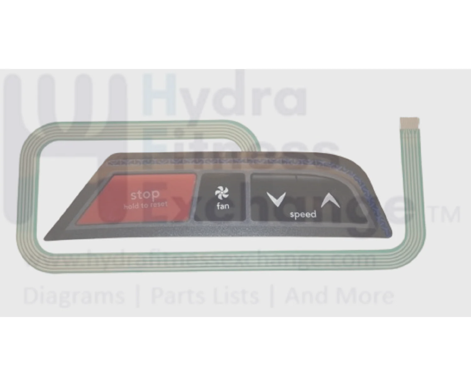 Horizon Fitness TM444 Treadmill Right English Overlay 1000226149