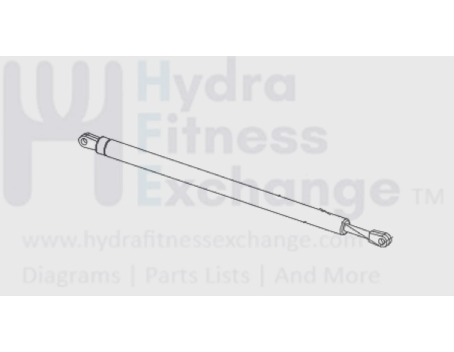 Horizon Fitness TM617 Treadmill Air Shock Slow Drop 1000094083