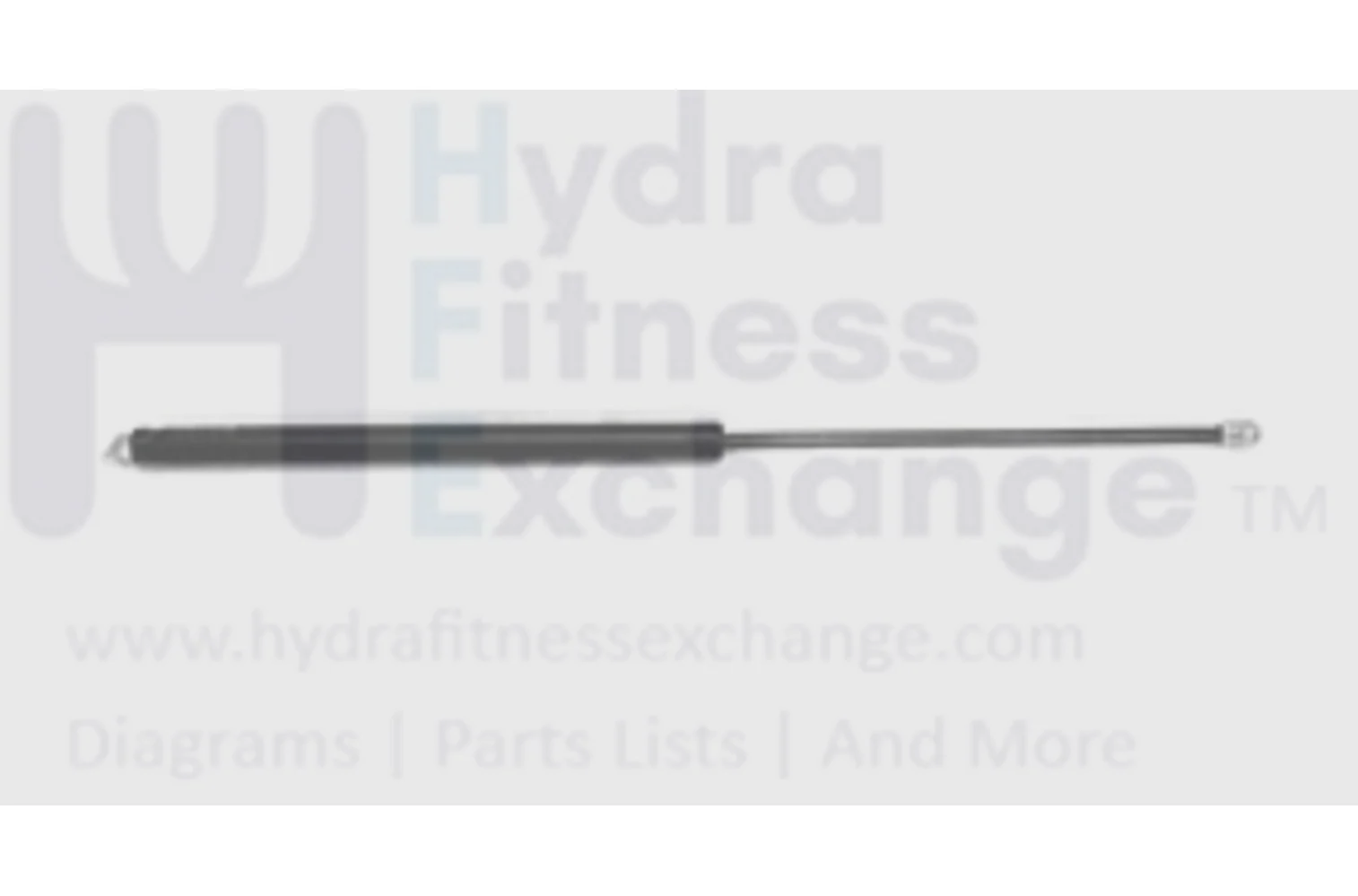 Horizon Fitness TM644 Treadmill Air Shock 1000201488