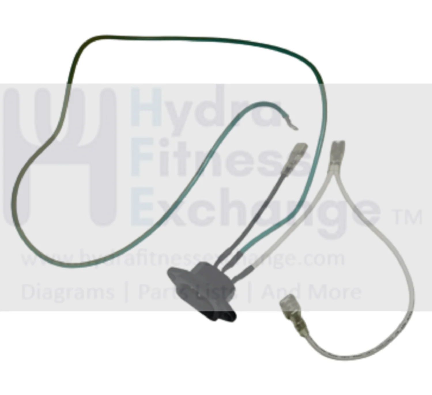 Horizon Fitness TM684 Treadmill Power Socket 16A 061302-A