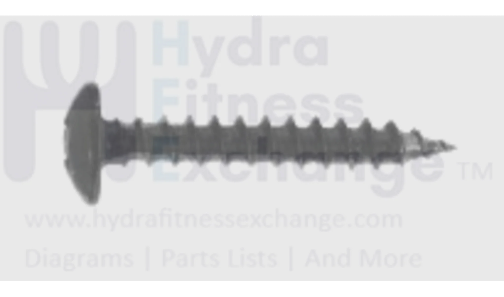 Horizon Fitness TM687 TM726 TM492 TM688 Treadmill Screw P4 x 25L 1000106752