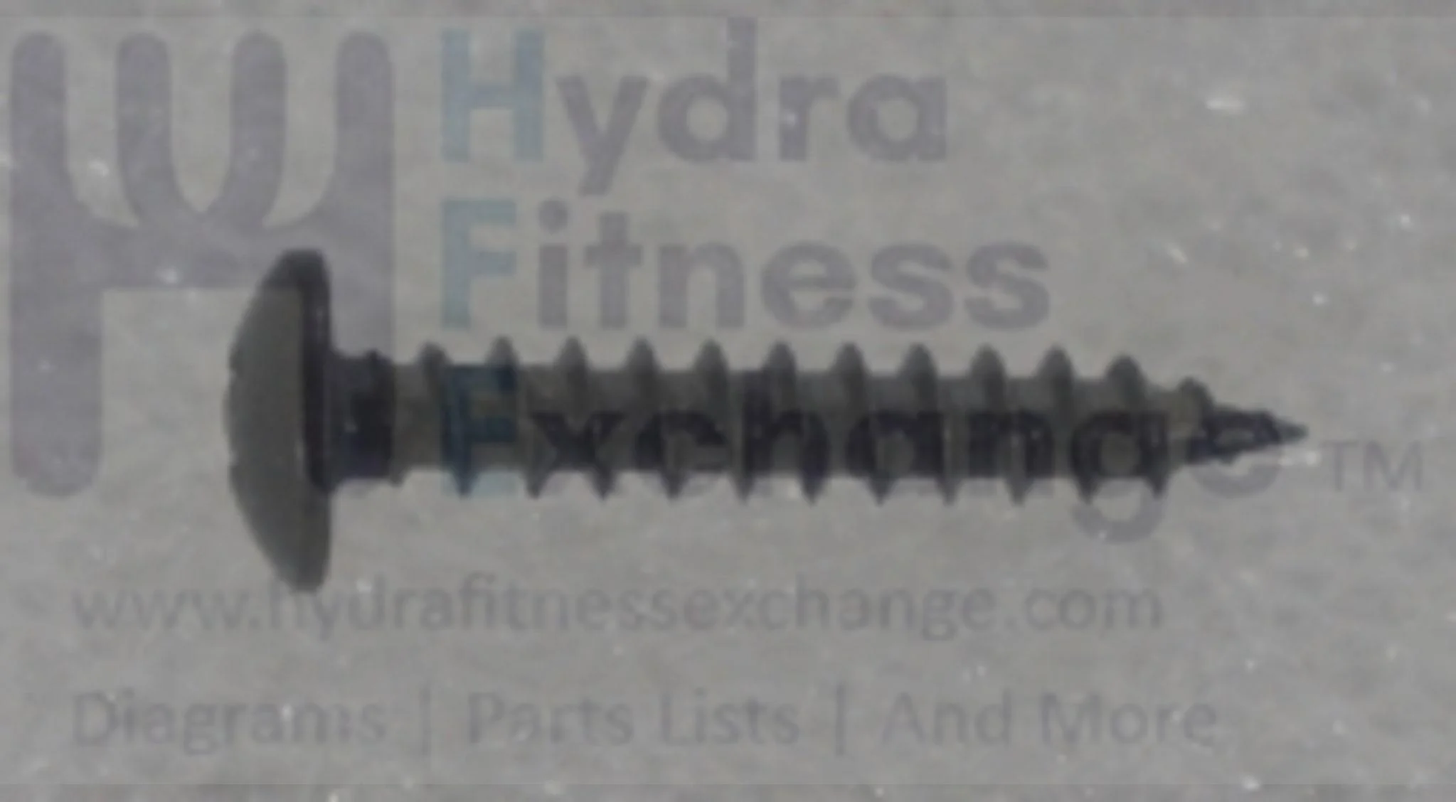 Horizon Fitness TM687 TM726 TM492 TM688 Treadmill Screw P4 x 25L 1000106752 - Image 2