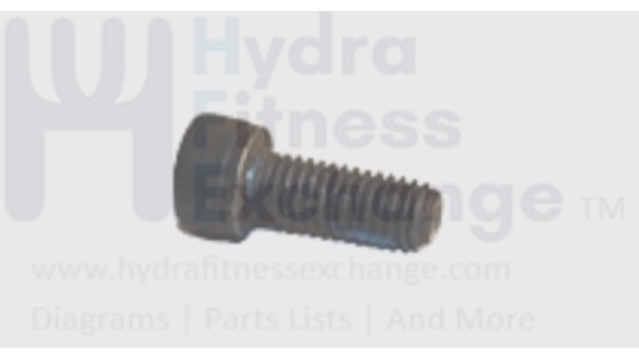 Horizon Fitness TM688 Adventure 3-02 Treadmill Hex Socket Screw M6x1.0px15l 004462-af