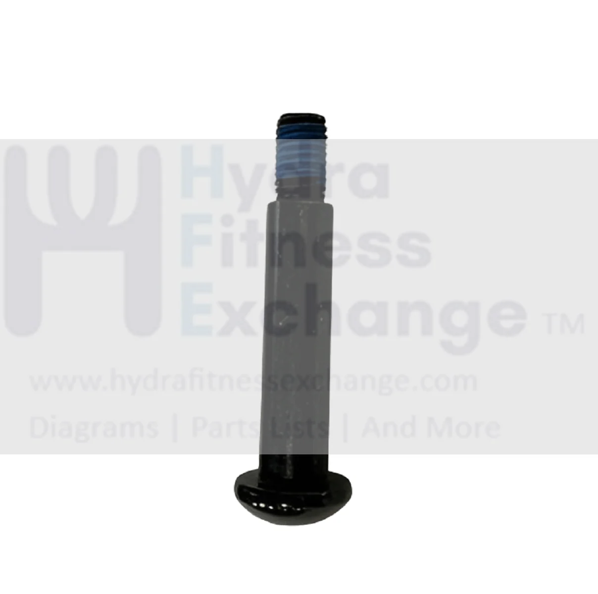 Horizon Fitness Treadmill Button Head Special Screw M8 - 1.25P x 11L-D 1000447760