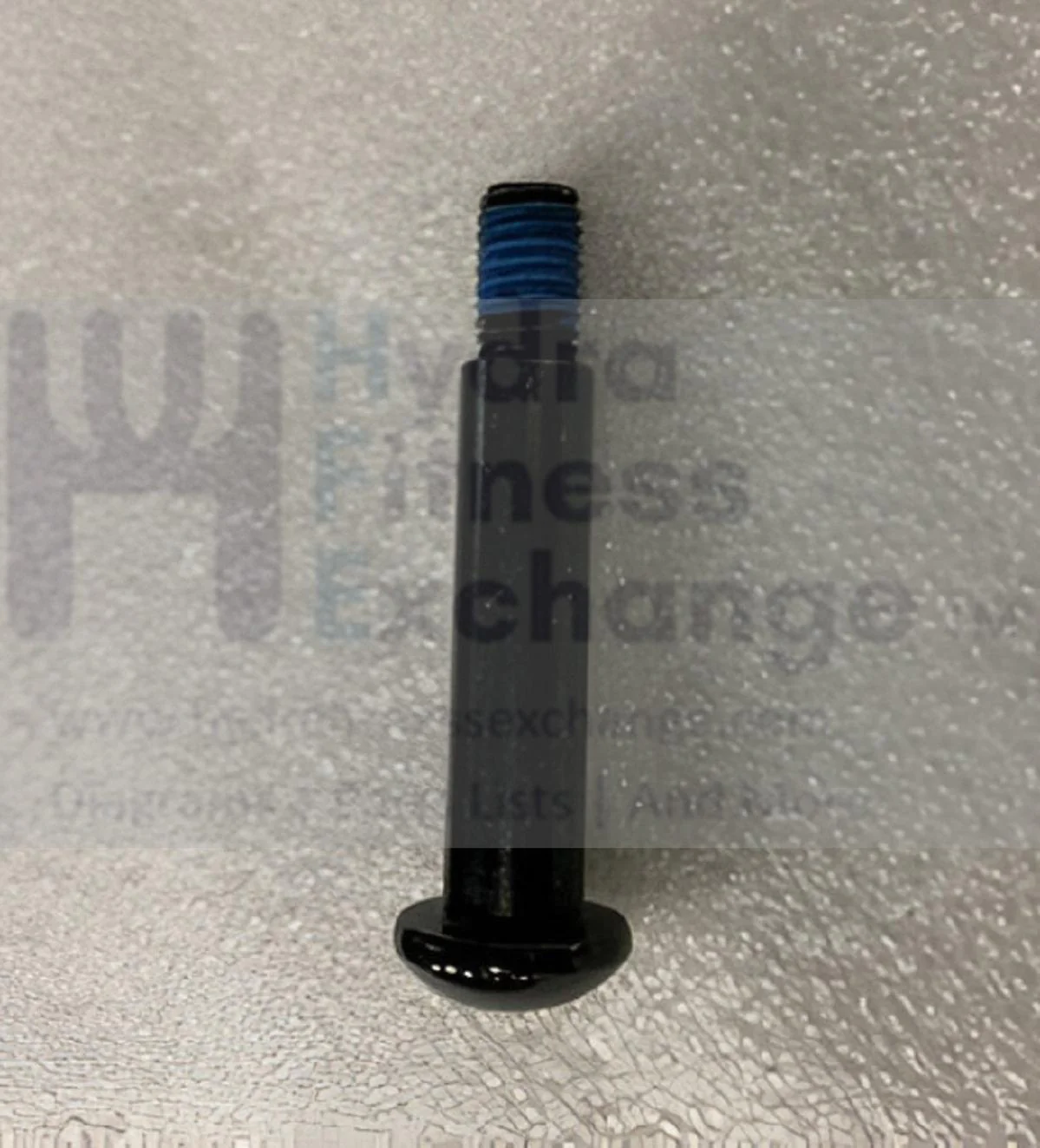 Horizon Fitness Treadmill Button Head Special Screw M8 - 1.25P x 11L-D 1000447760 - Image 2
