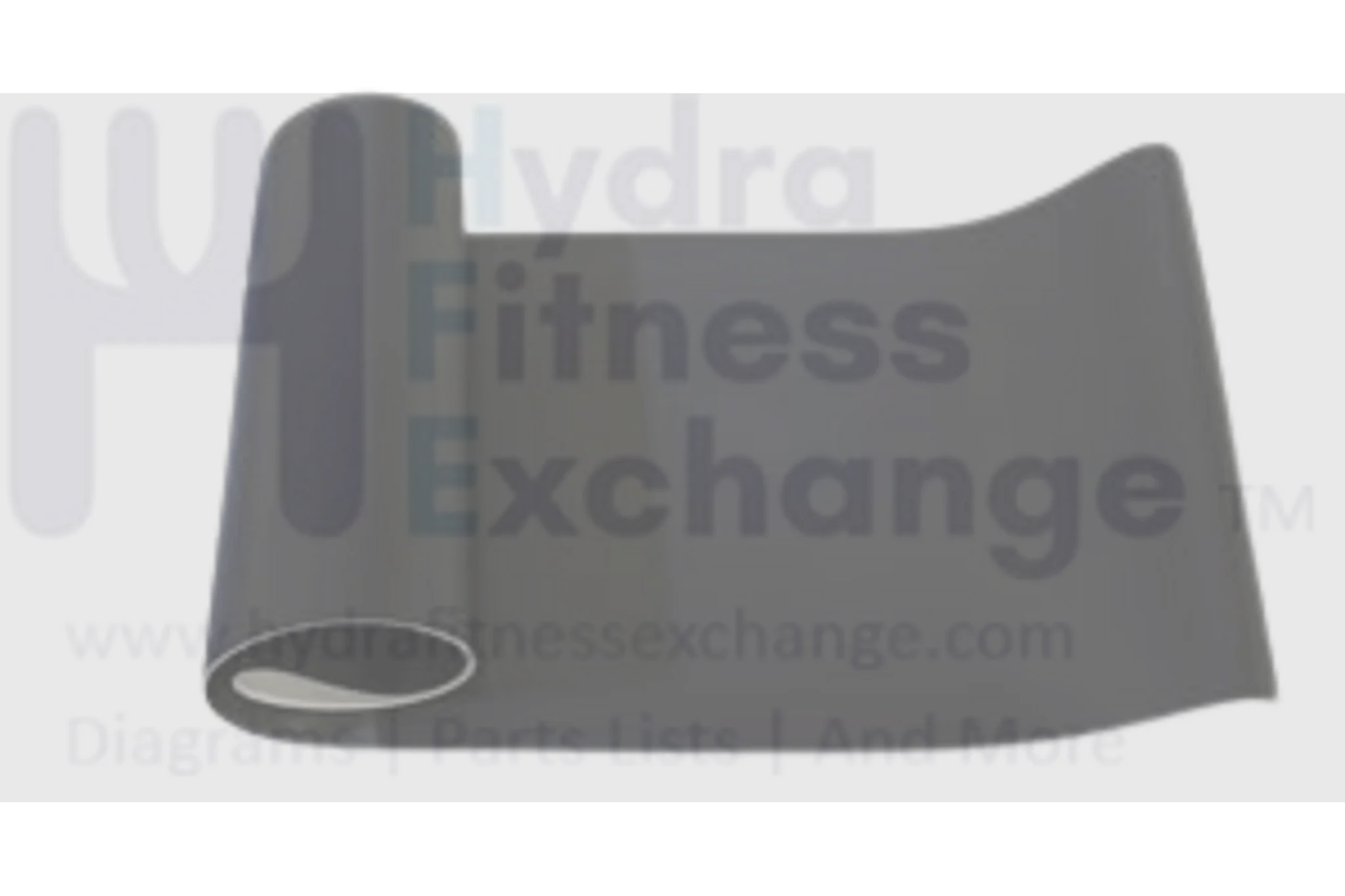 Horizon Fitness TM74 Advance 500 Treadmill Waking Running Belt 19x60 490 x 3060L x 2.2t 004244-BB