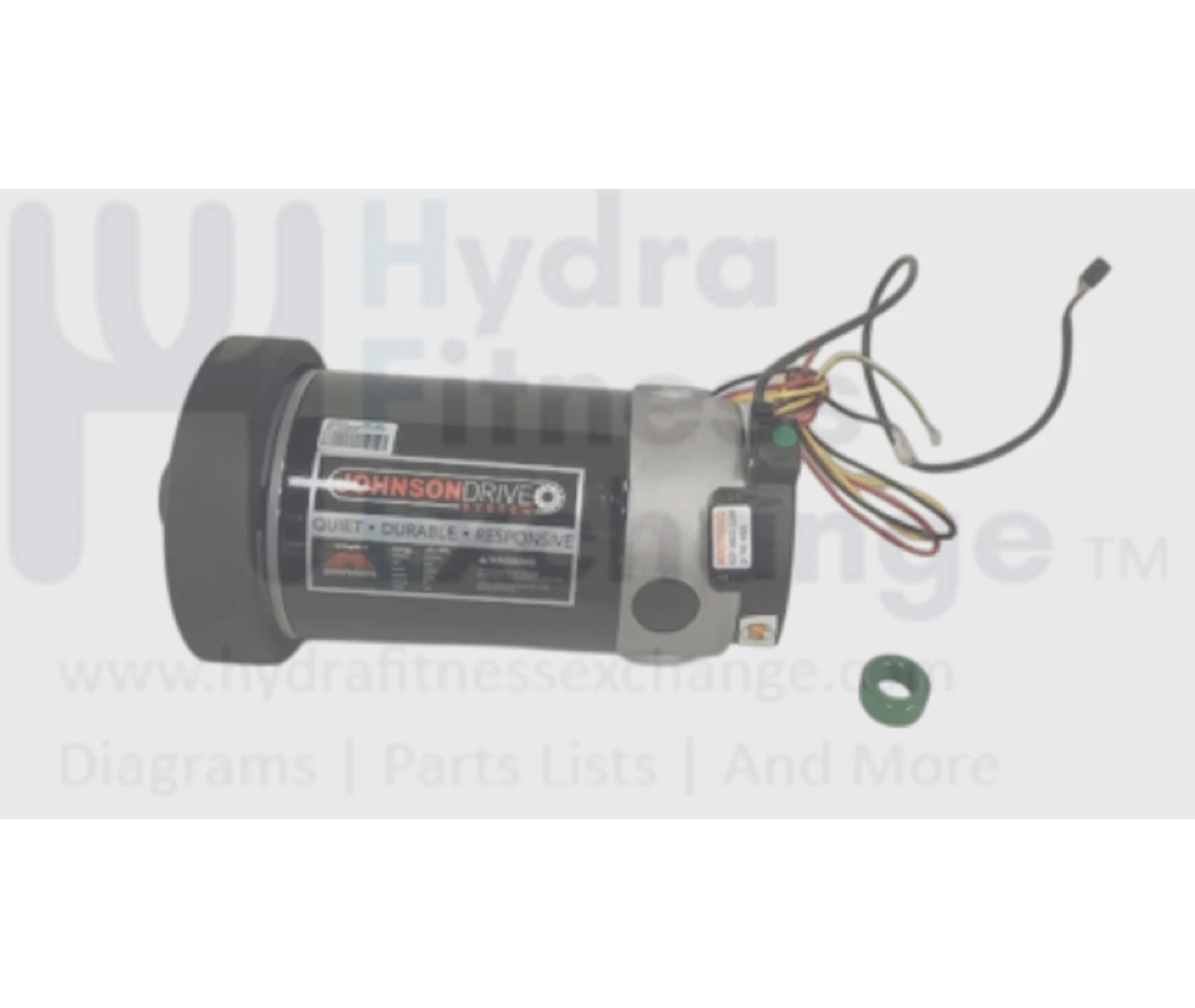 Horizon Fitness TM761 TM1004 Treadmill Dc Drive Motor Set with Flywheel 1000444629