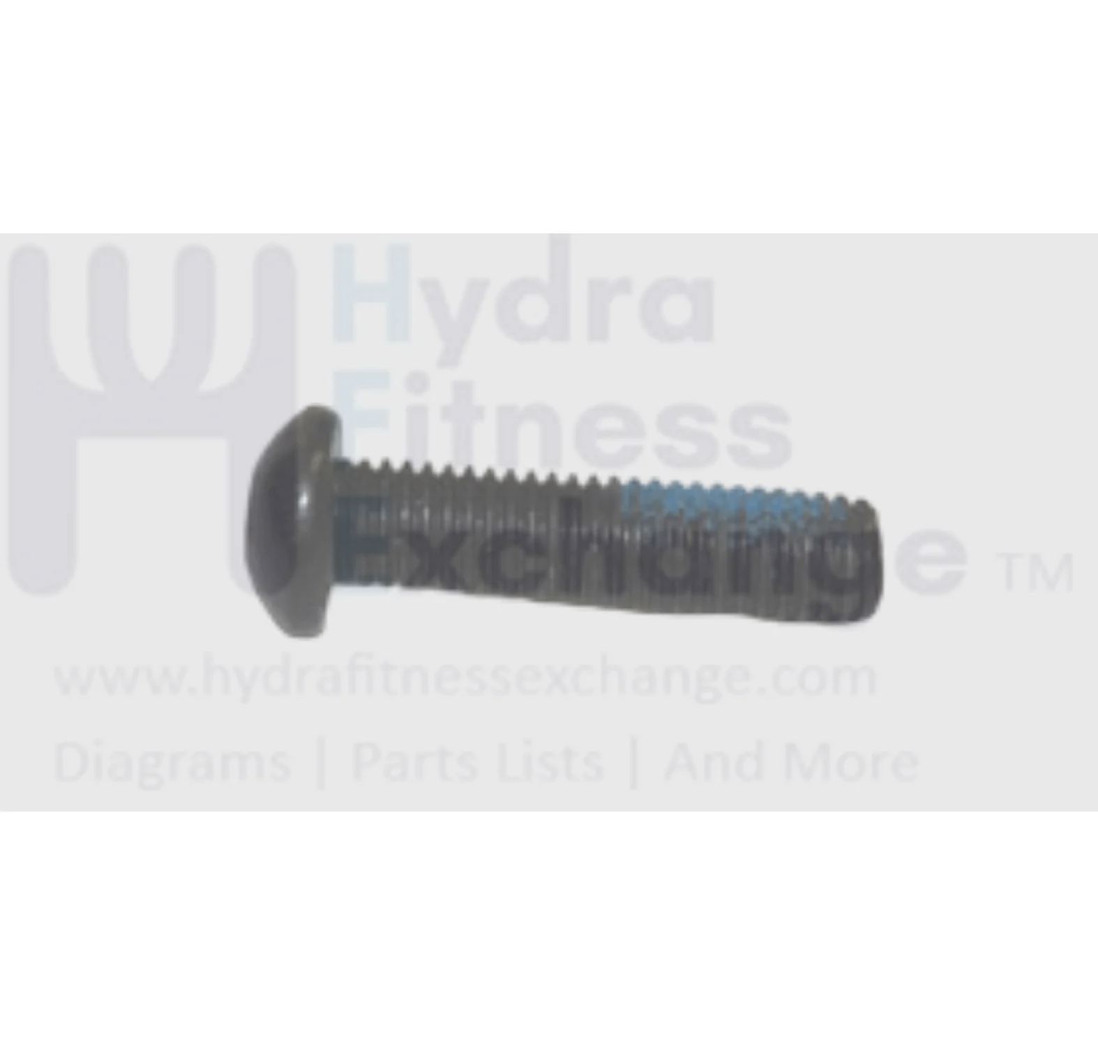 Horizon Fitness Treadmill Running Deck Elastomer 30 x 44L 040826-AD