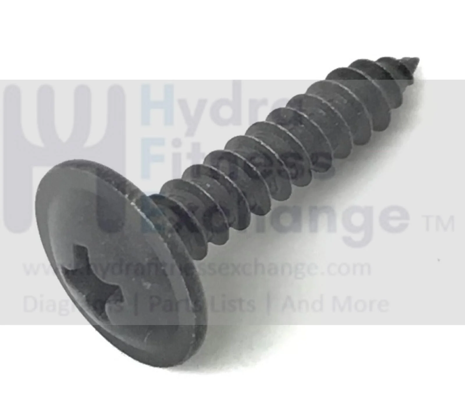 Horizon Fitness Treadmill Button Head Tapped Phillip Screw 4x20L 049263-A