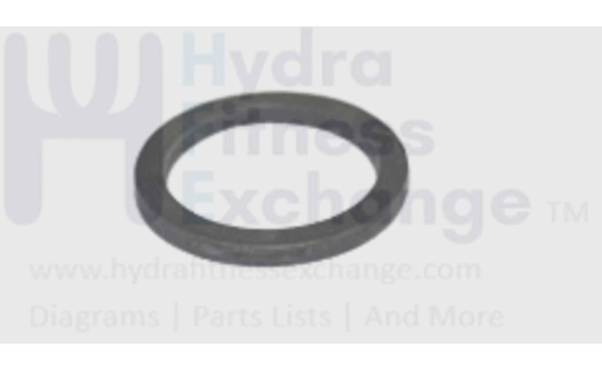 Horizon Vision Advanced Fitness Group Treadmill Flat Washer 066044-A