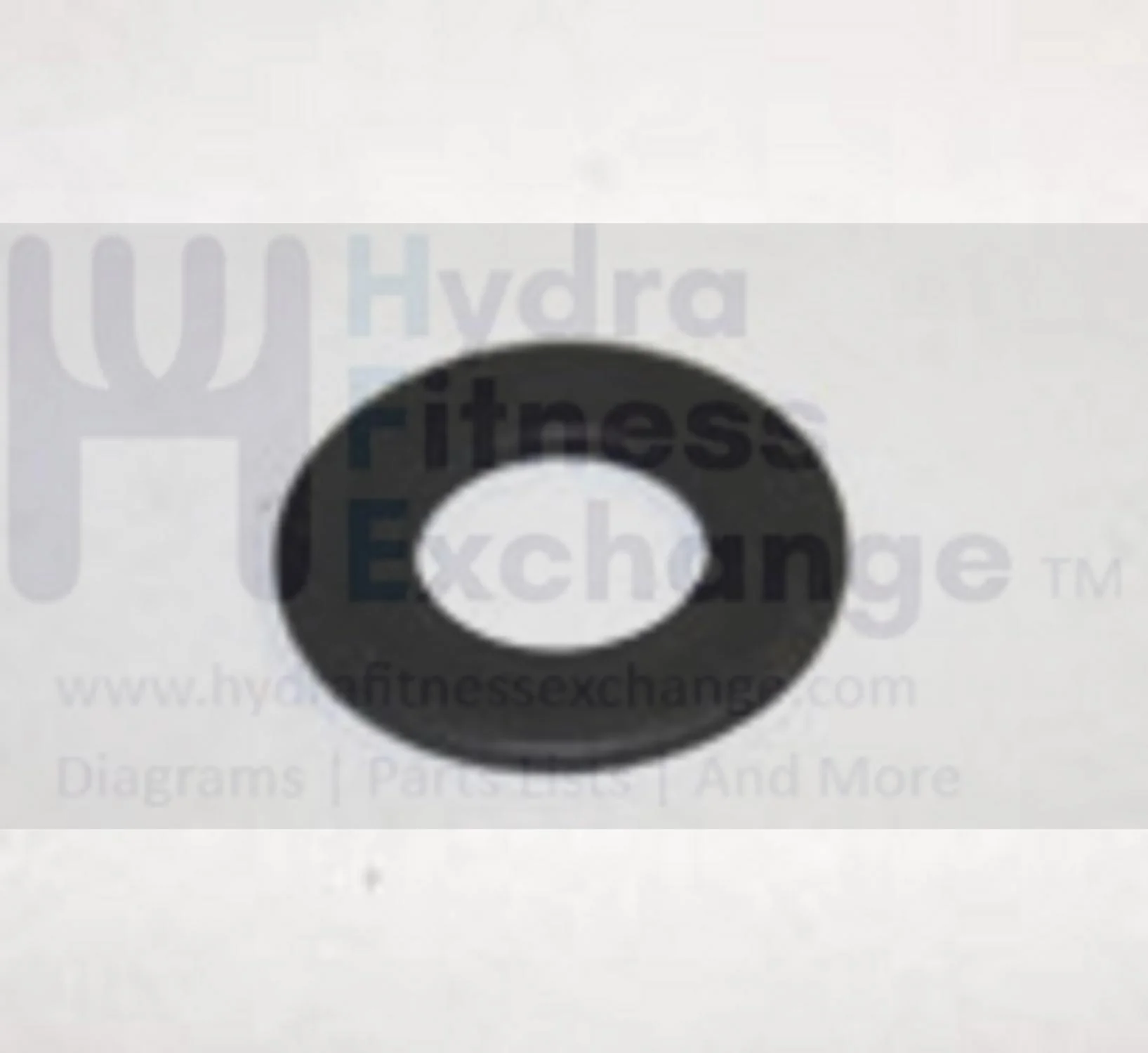 Horizon Fitness Treadmill Flat Washer 8.2 x 16.0 x 0.8T 005104-00 - Image 2