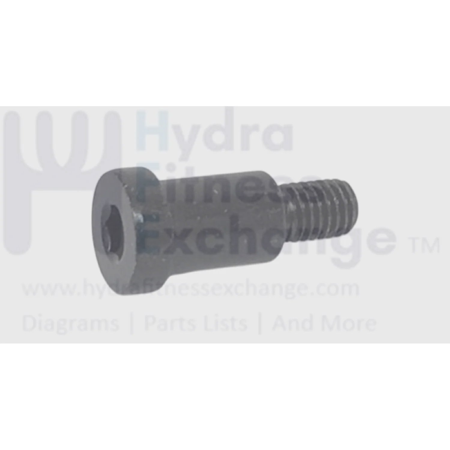 Horizon Fitness Treadmill Socket Head Screw M8X1.25P-12MM 1000459363