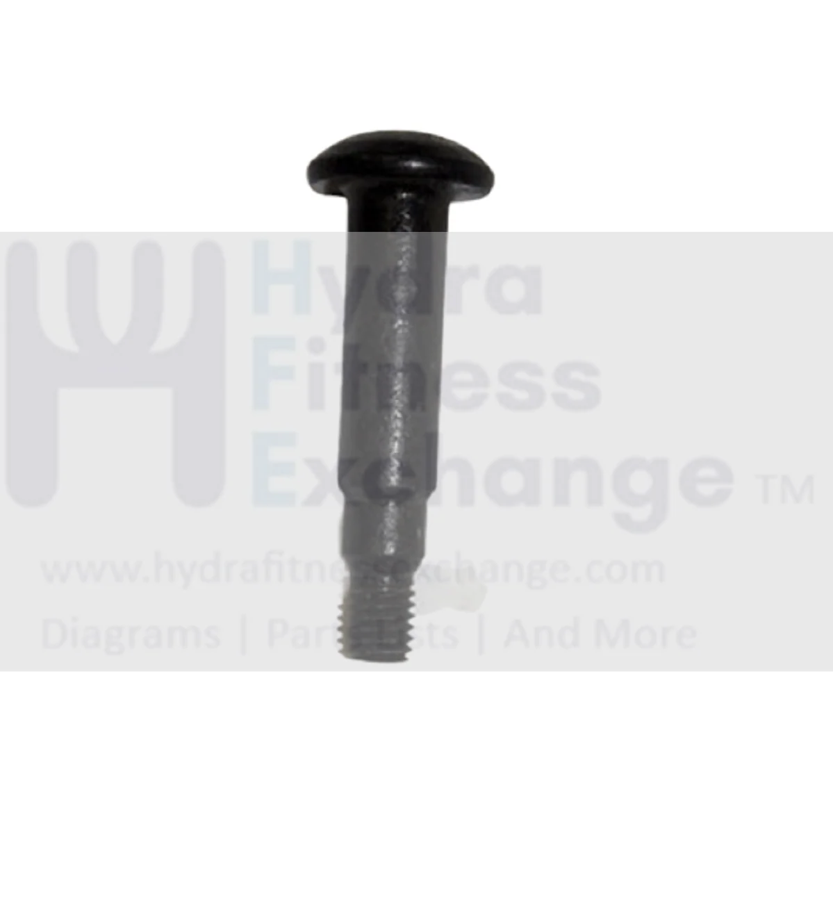 Horizon Fitness Treadmill Special Support Tube Base Bolt M8X1.25PX54L 008628-B - Image 3
