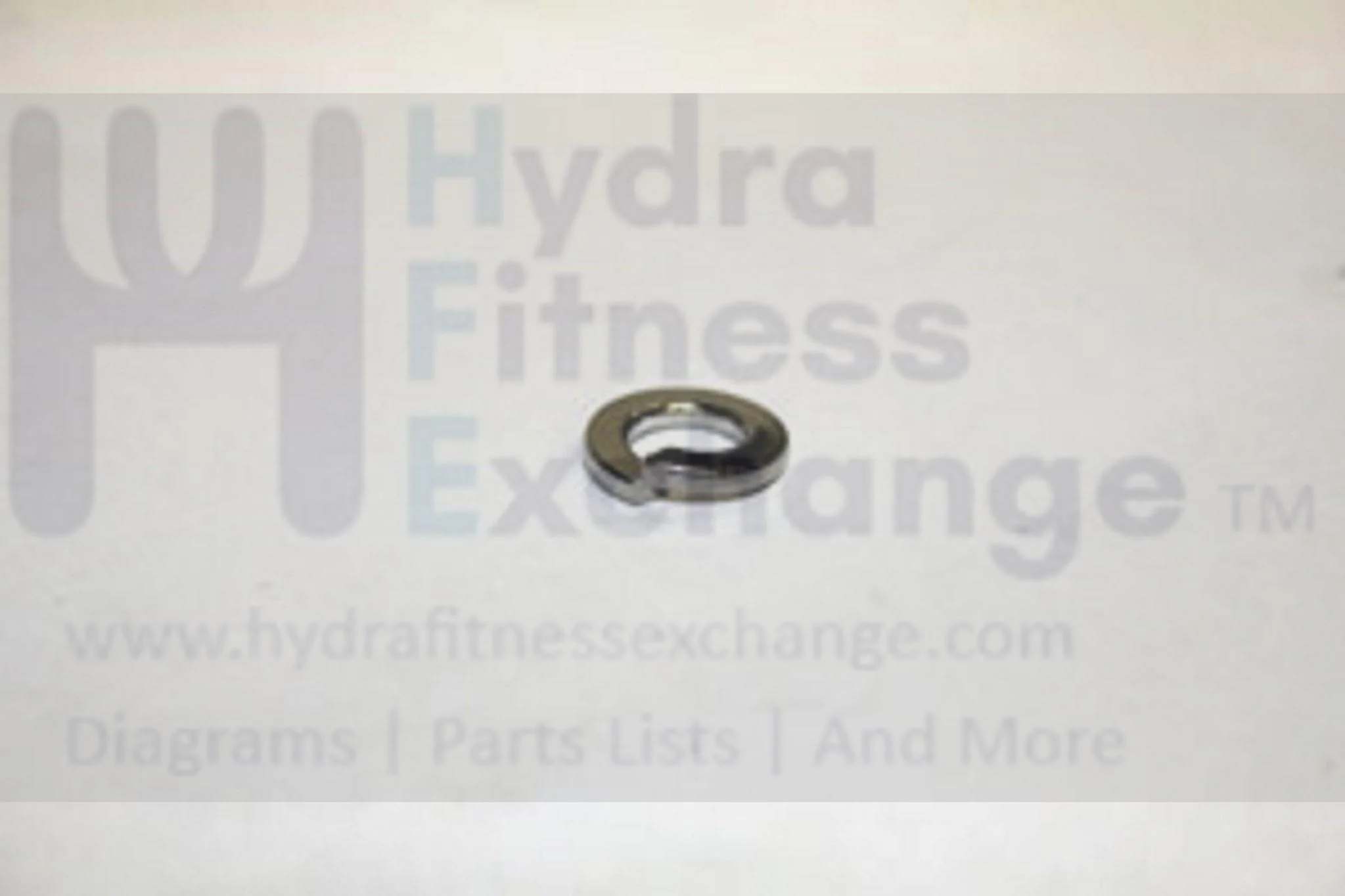 Horizon Fitness Treadmill Support Tube Spring Washer M8X1.25PX16L 010680-00 - Image 2