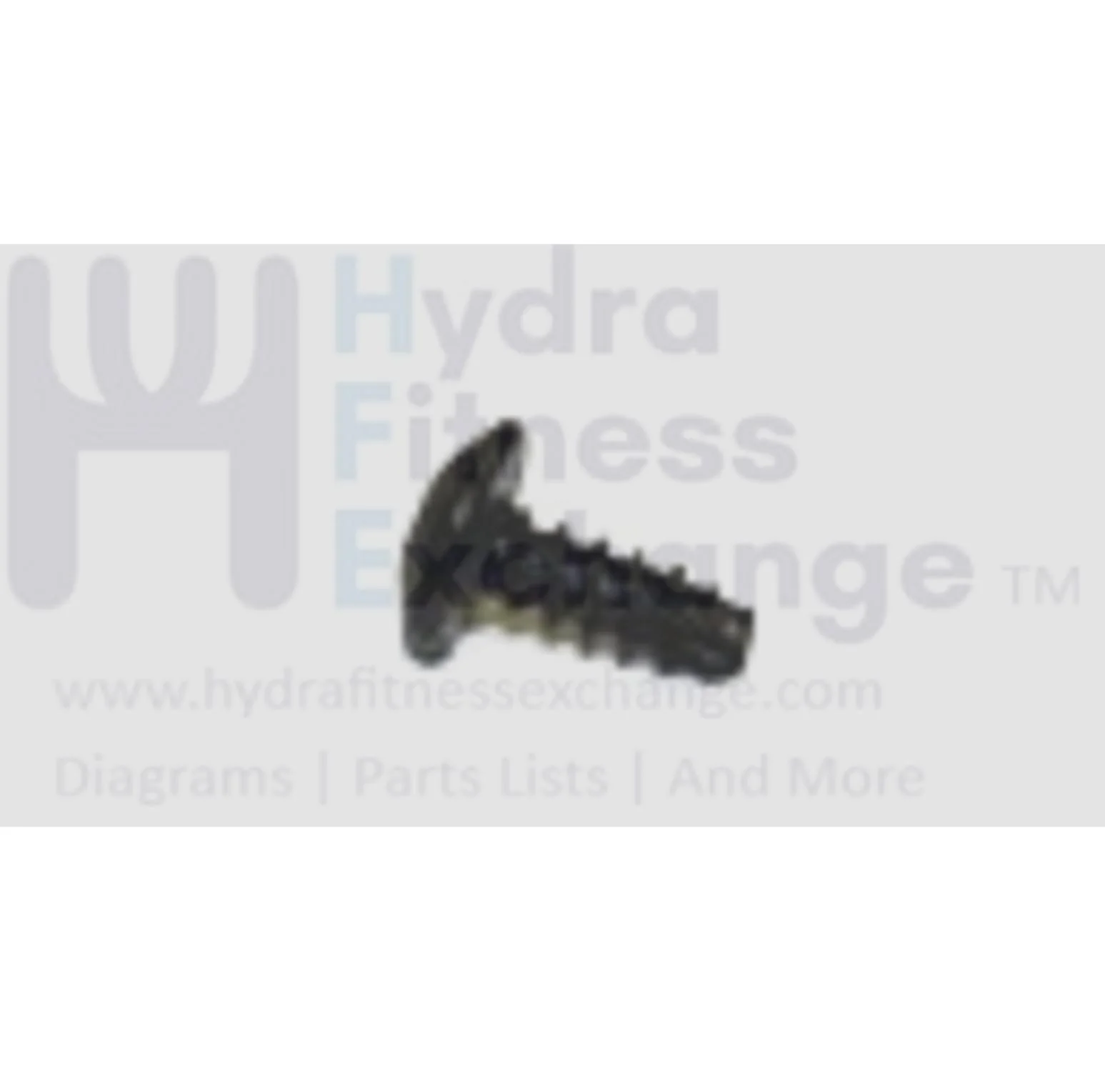 Horizon Fitness Treadmill Umbrella Head Phillip Screw 4x10L 020192-A