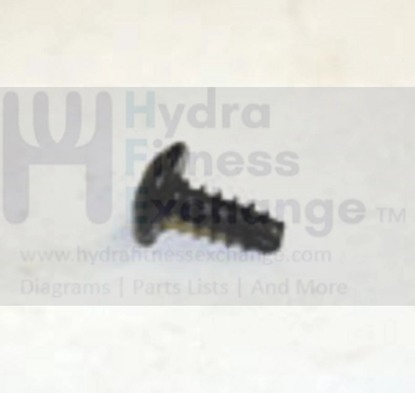 Horizon Fitness Treadmill Umbrella Head Phillip Screw 4x10L 020192-A - Image 2
