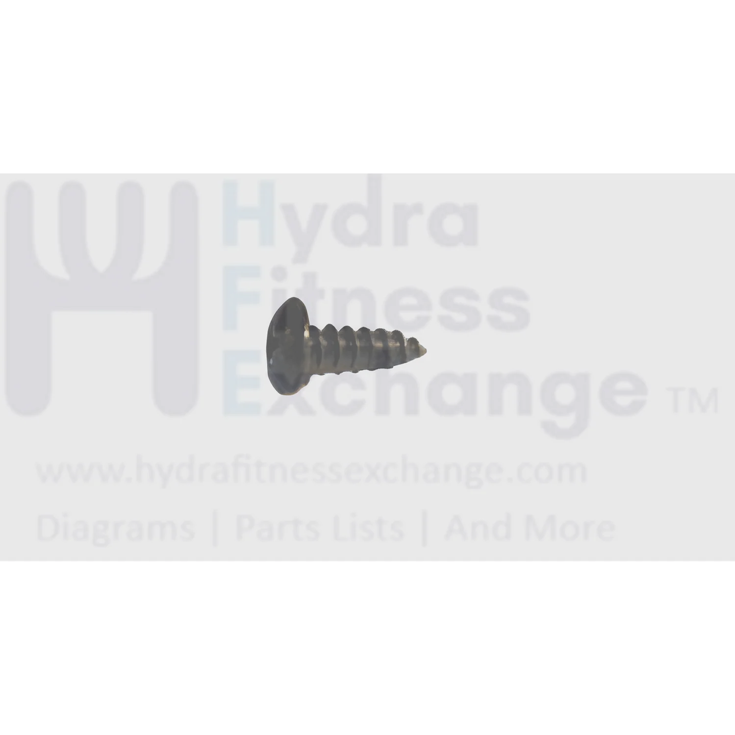 Matrix Fitness Strength System Button Head Screw 4 X 12L 1000090442