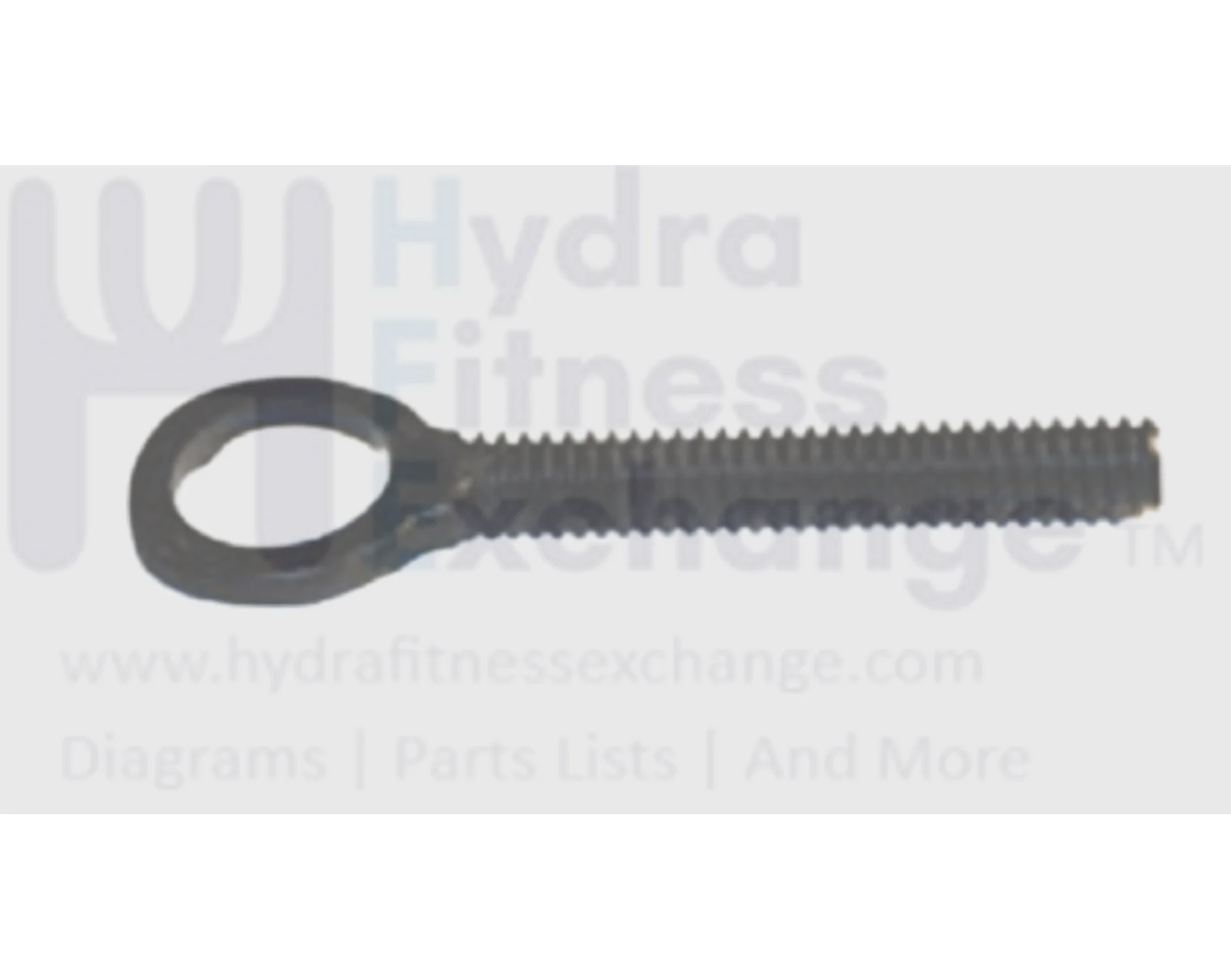 Horizon Vision Matrix Fitness Elliptical Eye Hook Bolt 1/4"-20UNCx50l" 004677-00