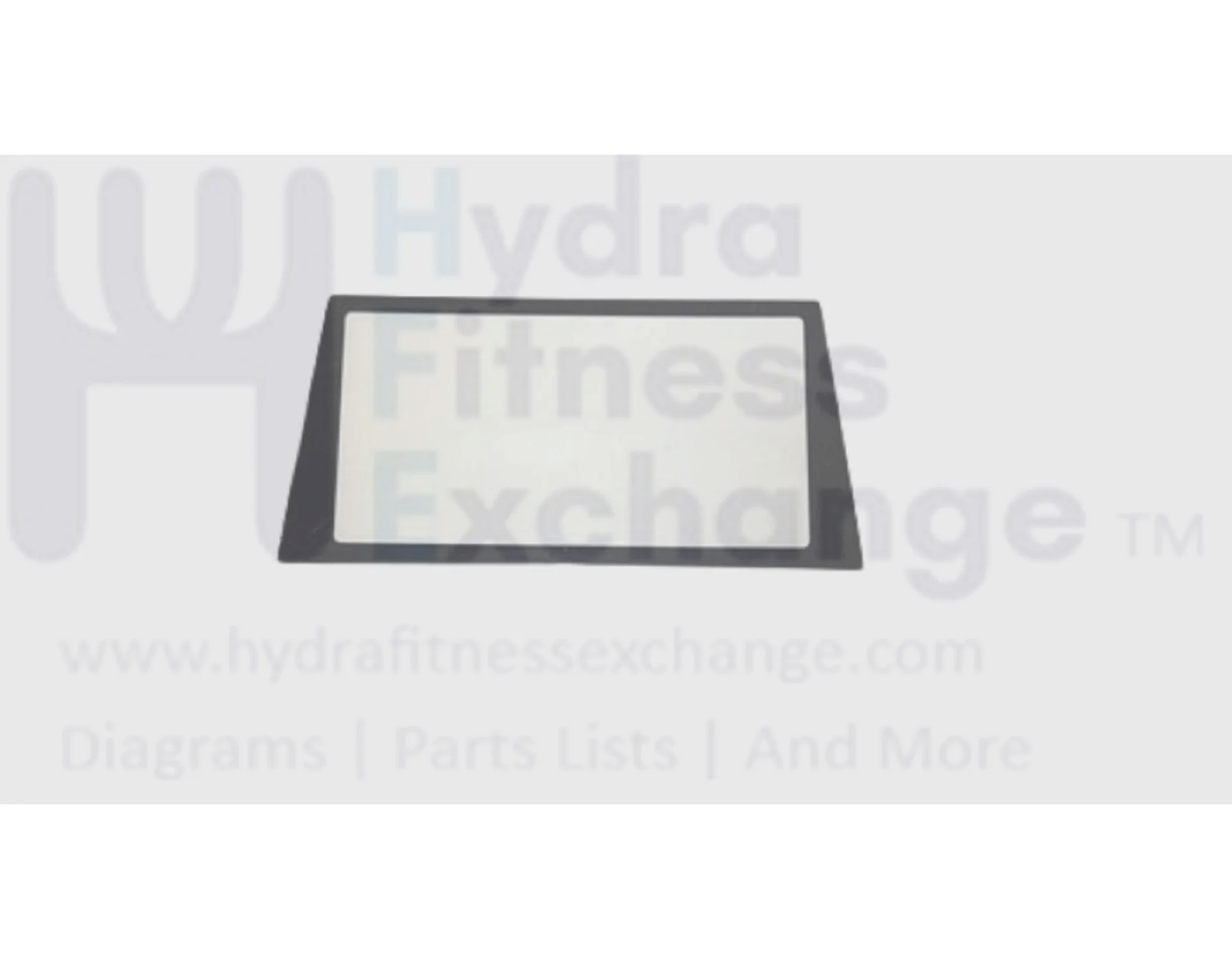 Horizon Fitness WT951 WT950 WT751 30517 Treadmill LCD Screen PC 001798-AA