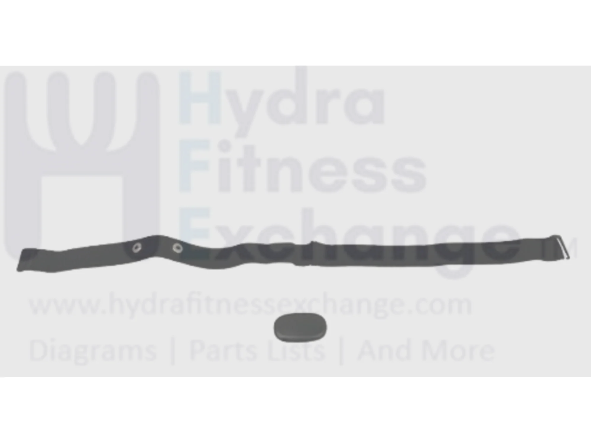 Horizon Fitness 7.4AT-04 - 7.0AT-04 Treadmill Chest Strap With Elastic 1000454299 Formerly 1000376389