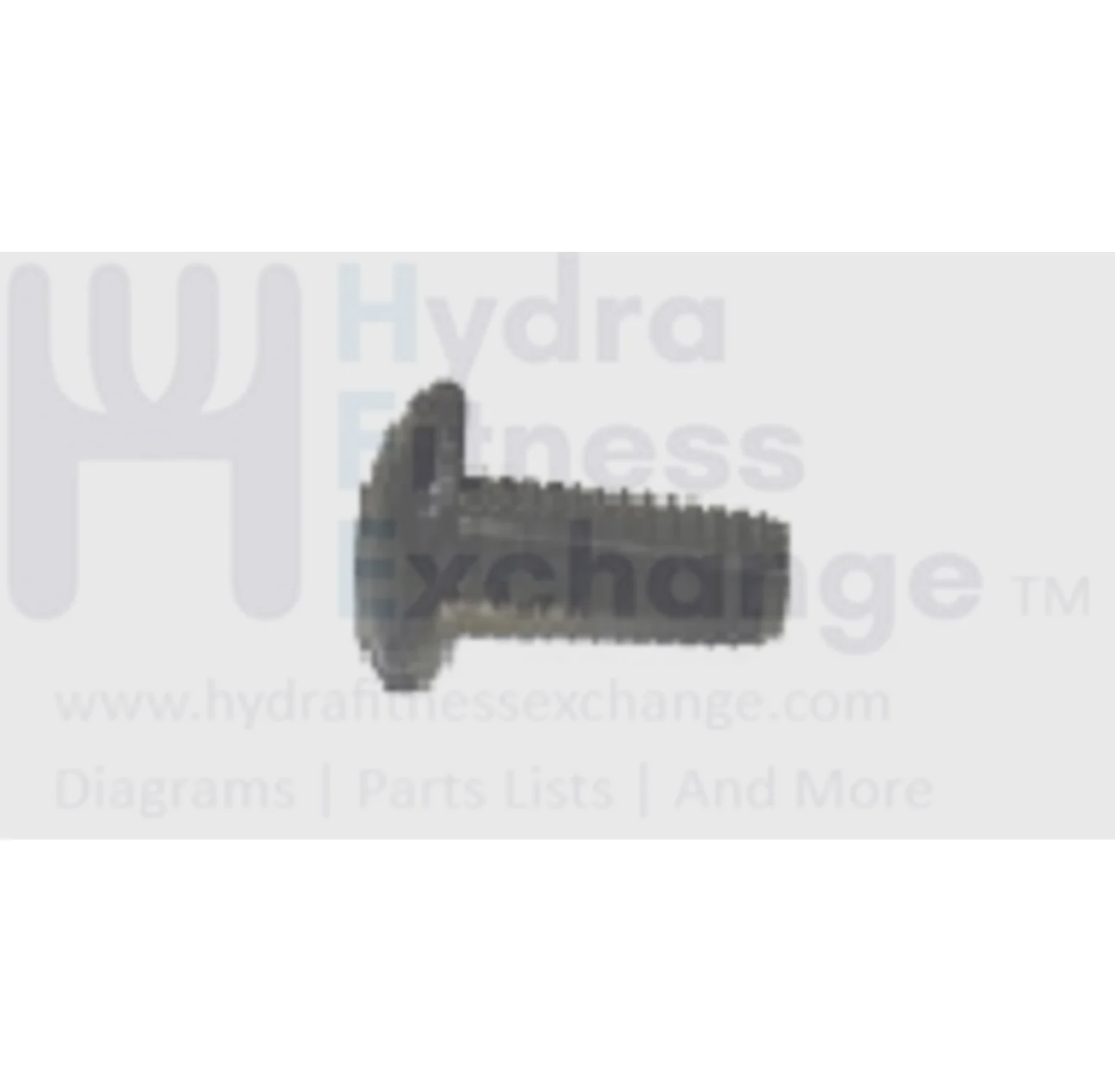 Horizon Matrix Commercial EP194 EP132C MRB50 MRB50B MTM65C TM65D Elliptical Round Phillip Screw M5x0.8Px12L 004327-00
