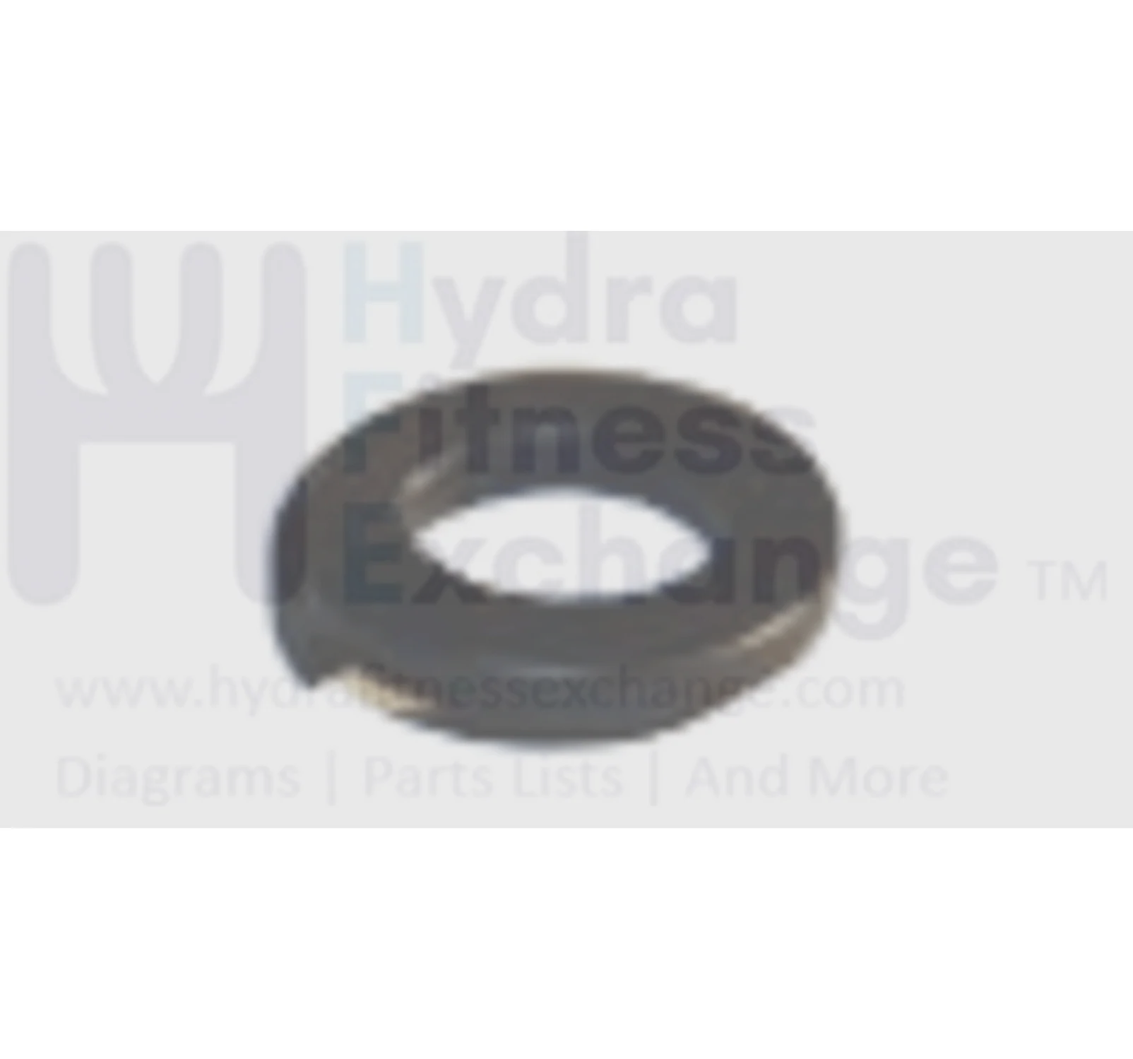 Horizon Matrix Commercial Fitness Elliptical Lock Washer M8.0x13x2T 005012-00
