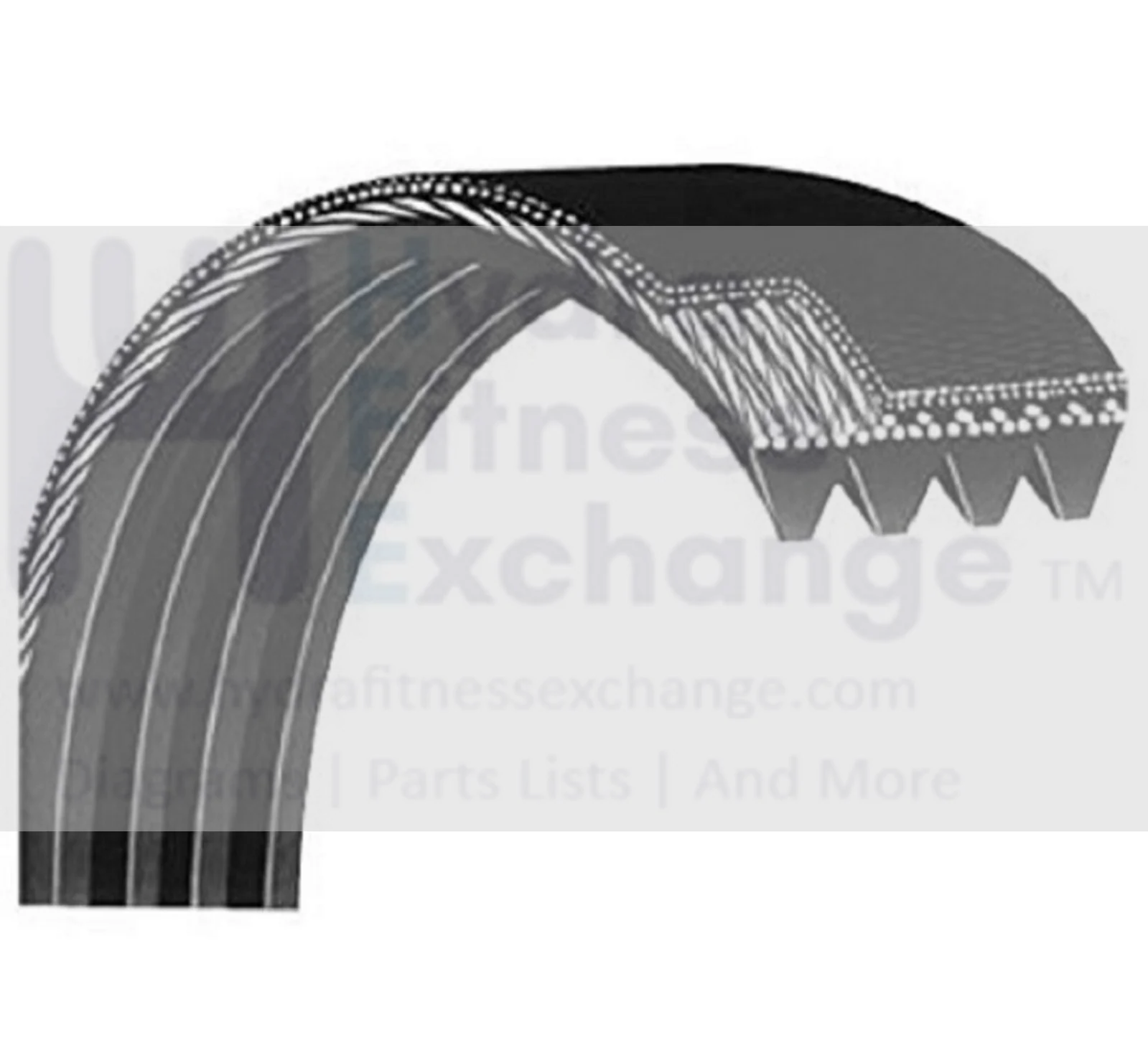 Horizon Matrix Commercial Stepper Pulley Drive Belt MFR-8PJ948 1000218699
