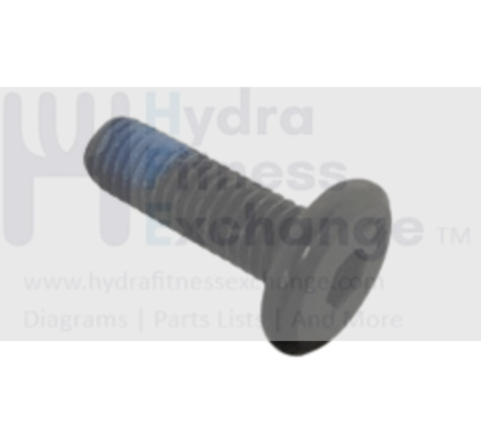 Horizon Matrix Fitness Commercial Elliptical Flat Hex Socket Screw M8x1.25Px25L 004697-AD