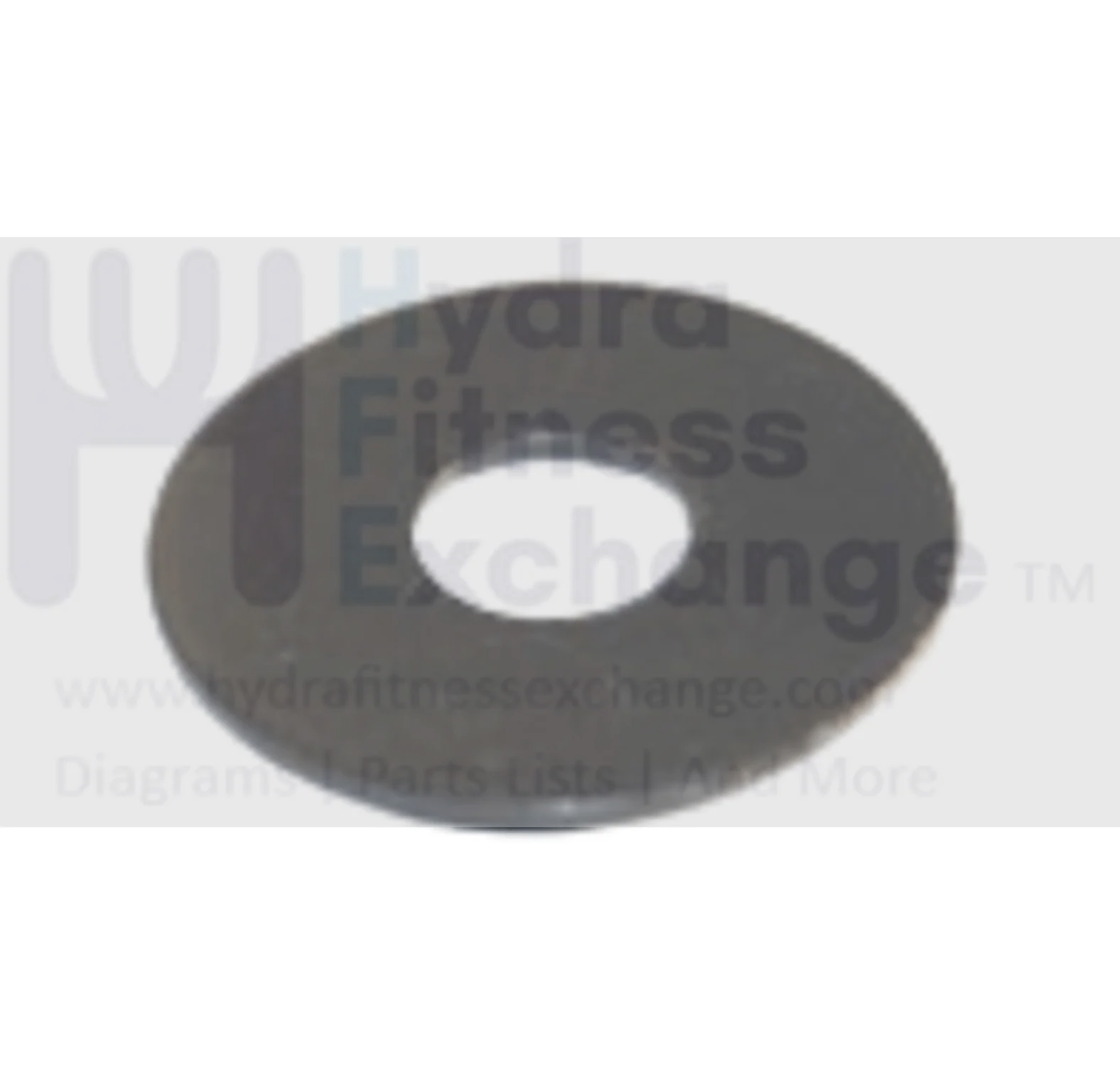 Horizon Matrix Fitness Elliptical Flat Washer 8.2x22.0x1.5T 037985-00